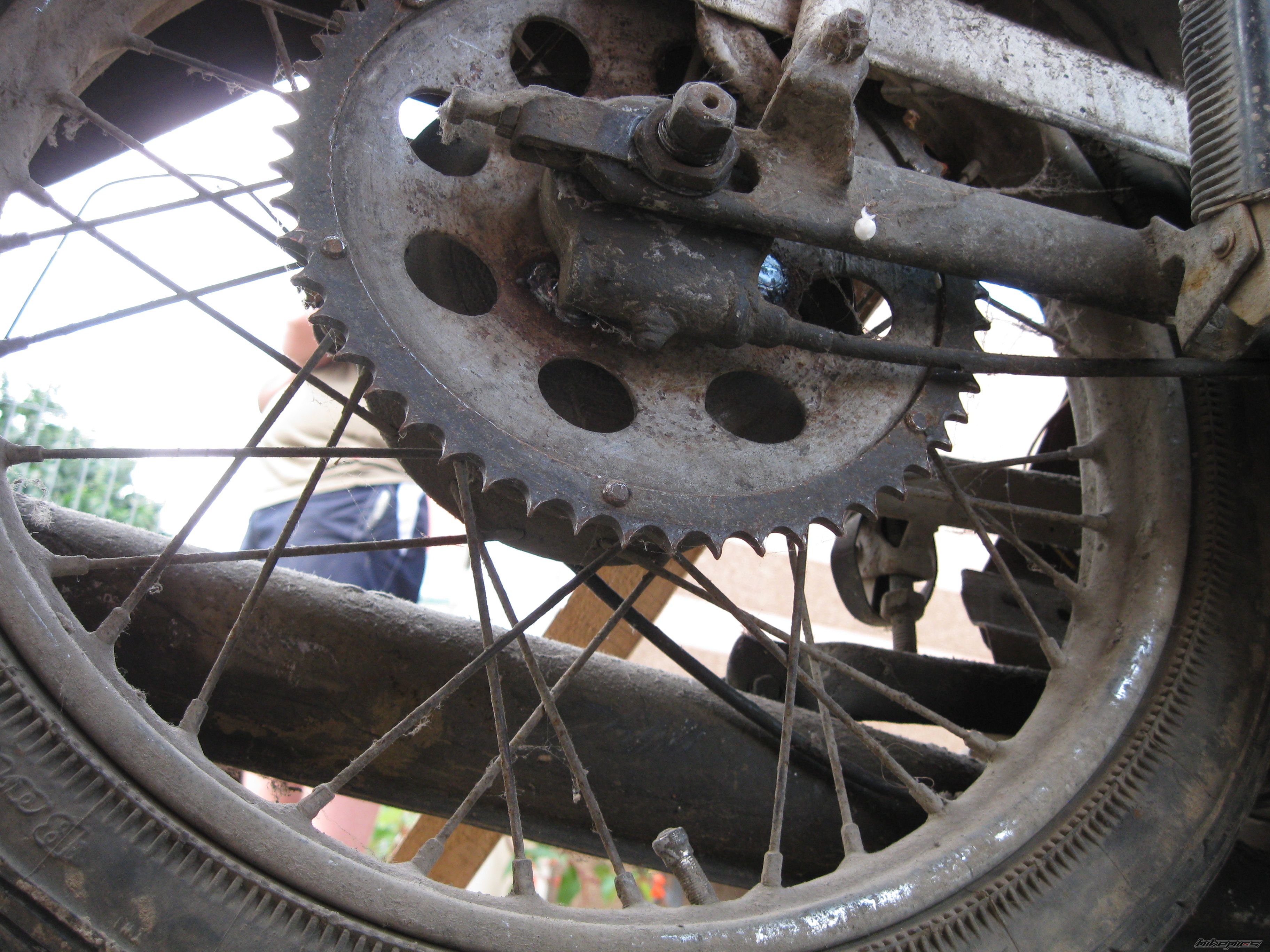 Photo 2571536