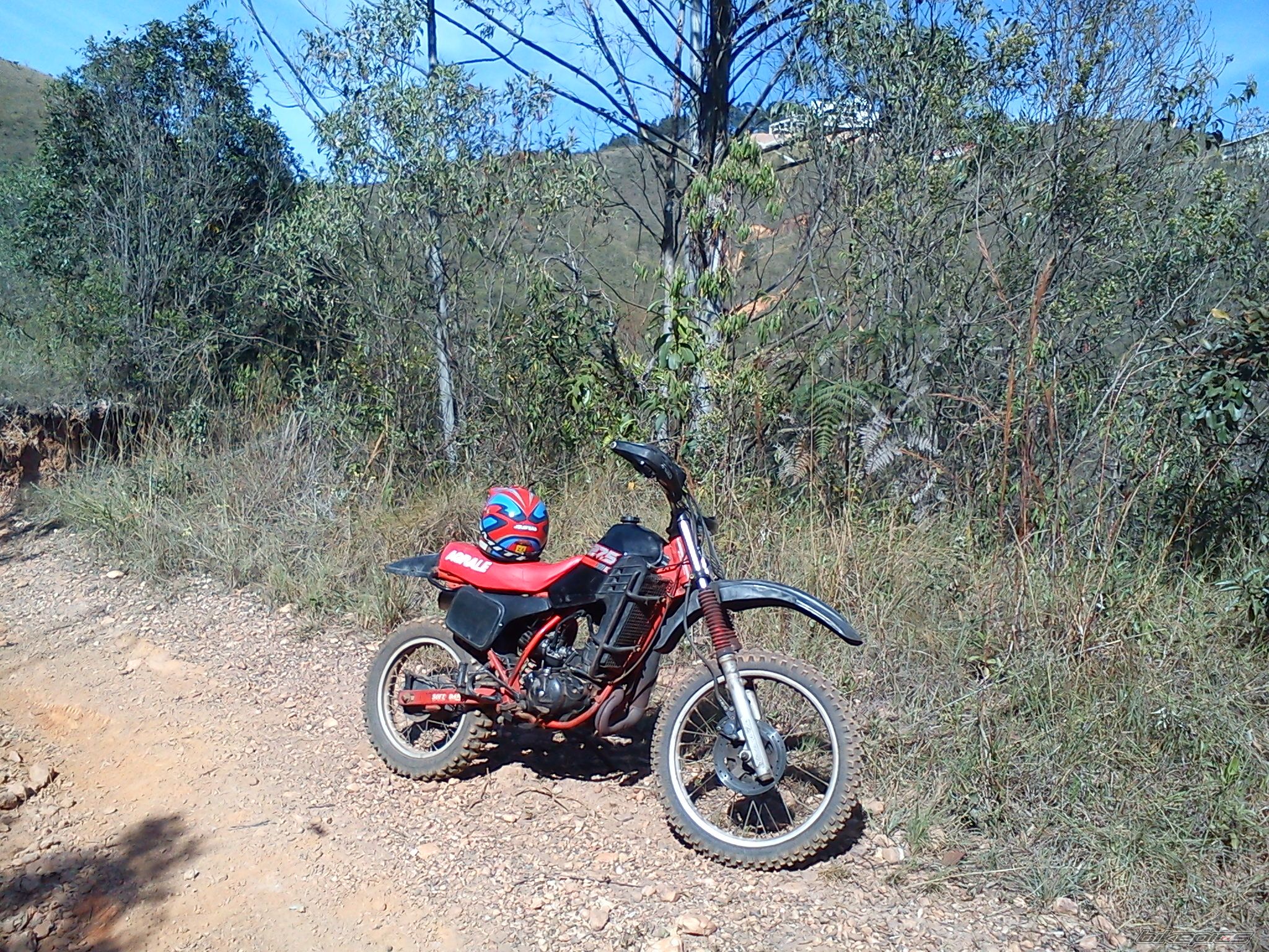 Photo 2571570
