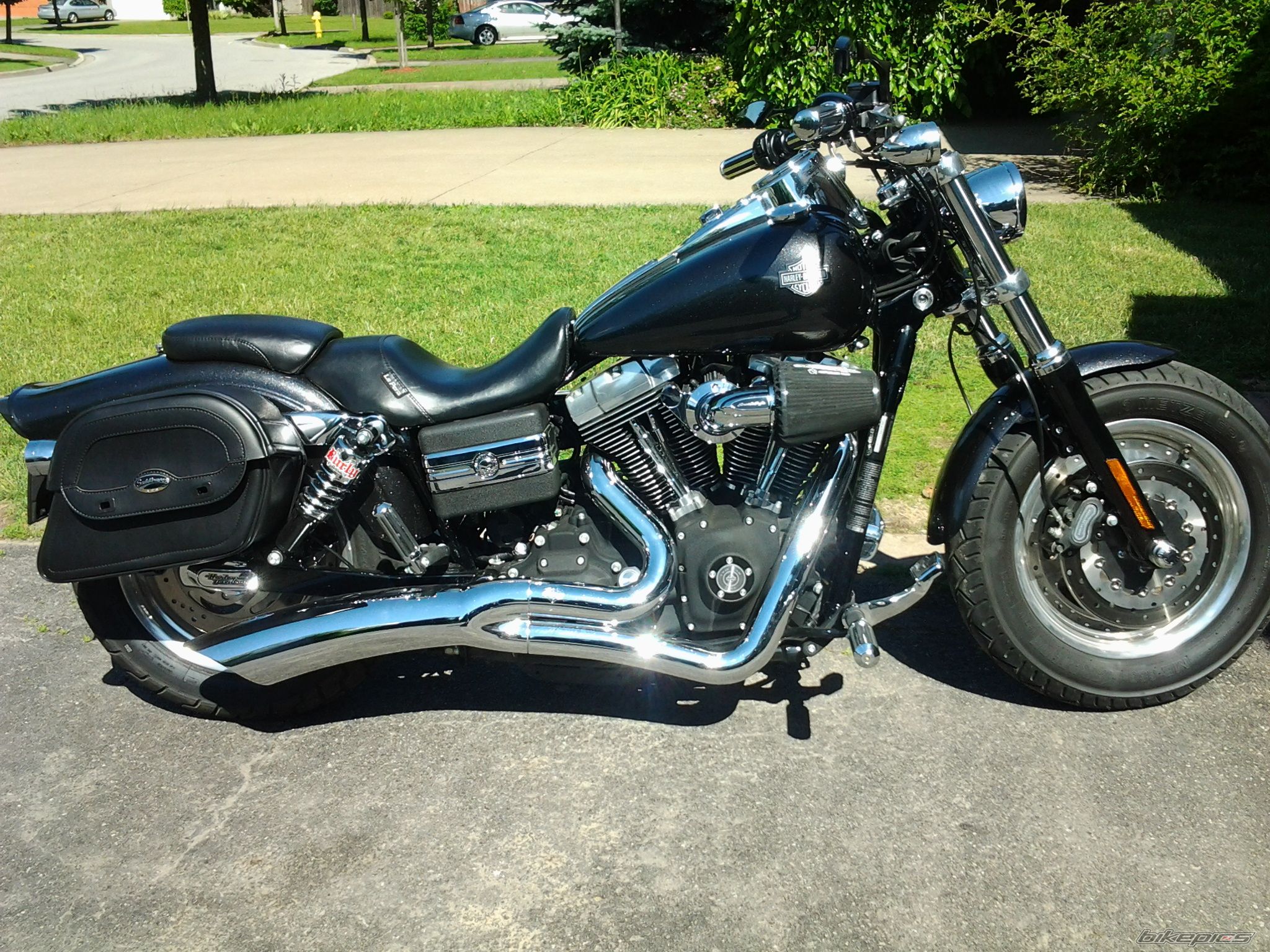 Photo 2571686