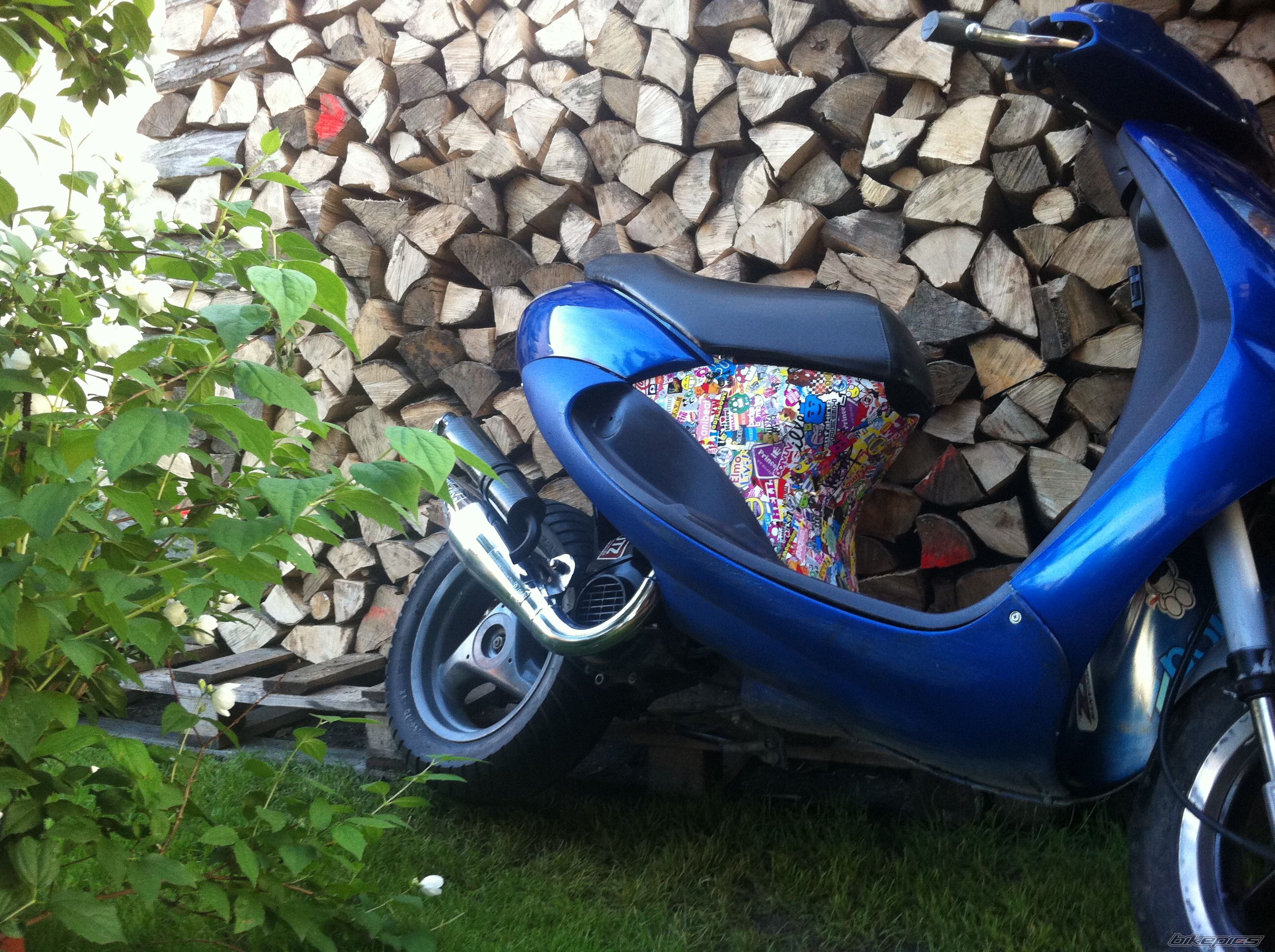Photo 2571771
