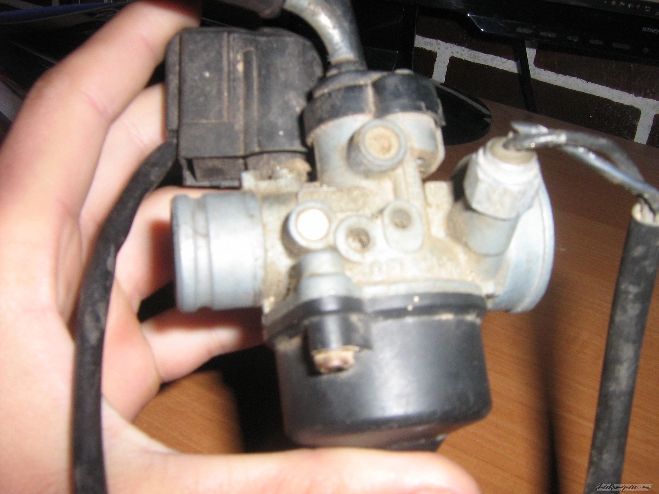 Photo 2571820