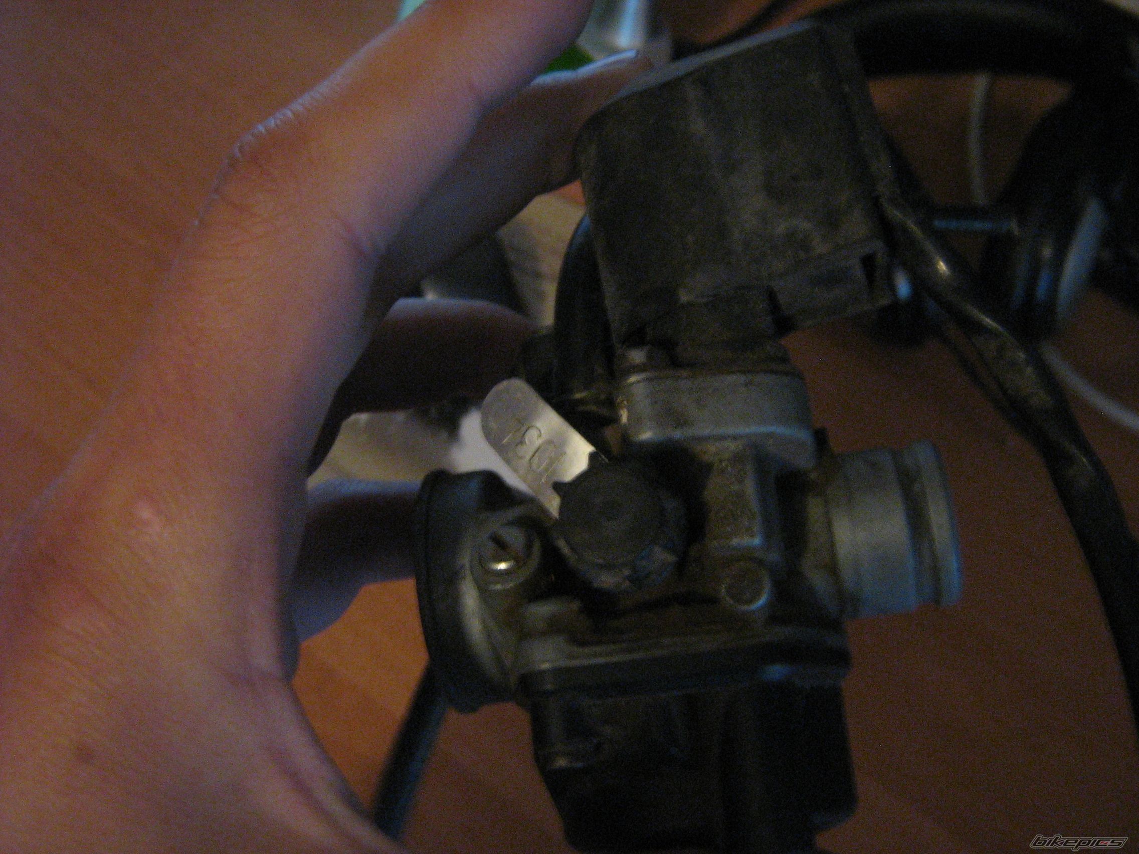 Photo 2571821