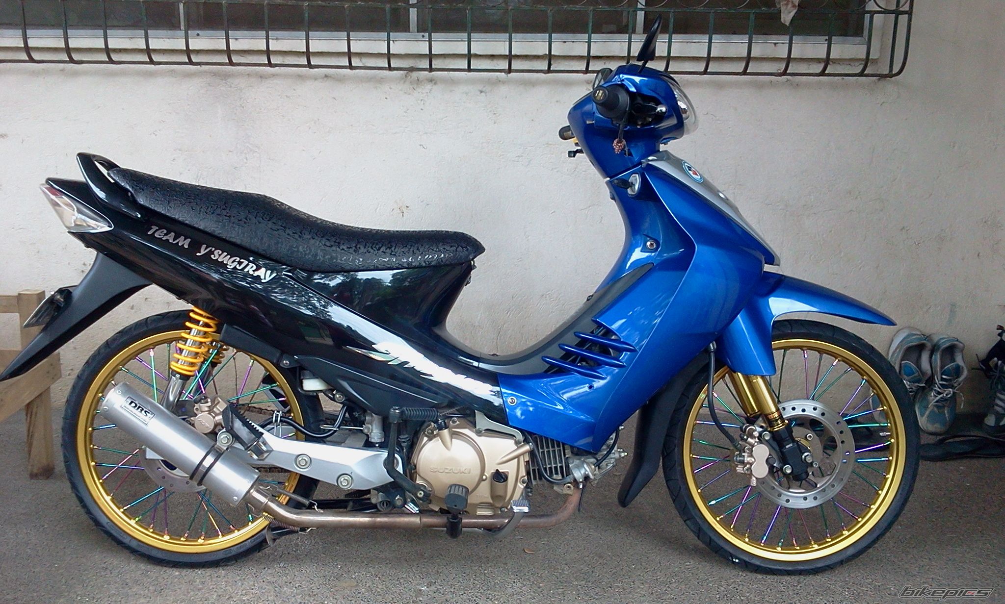 Photo 2572029