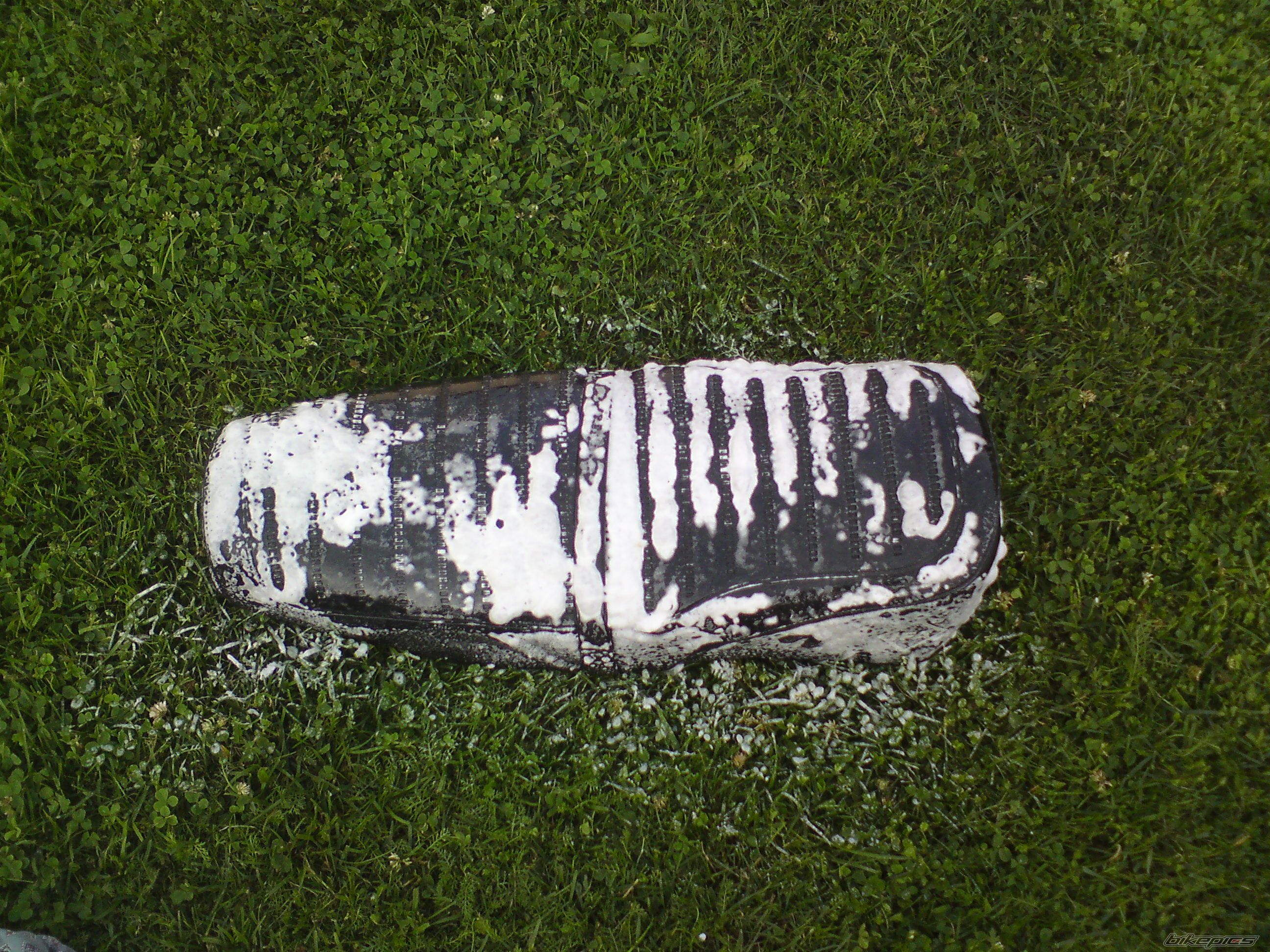Photo 2572152