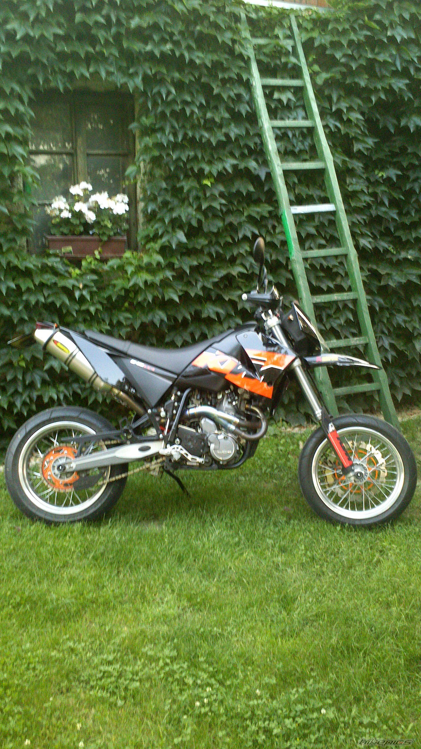 Photo 2572156