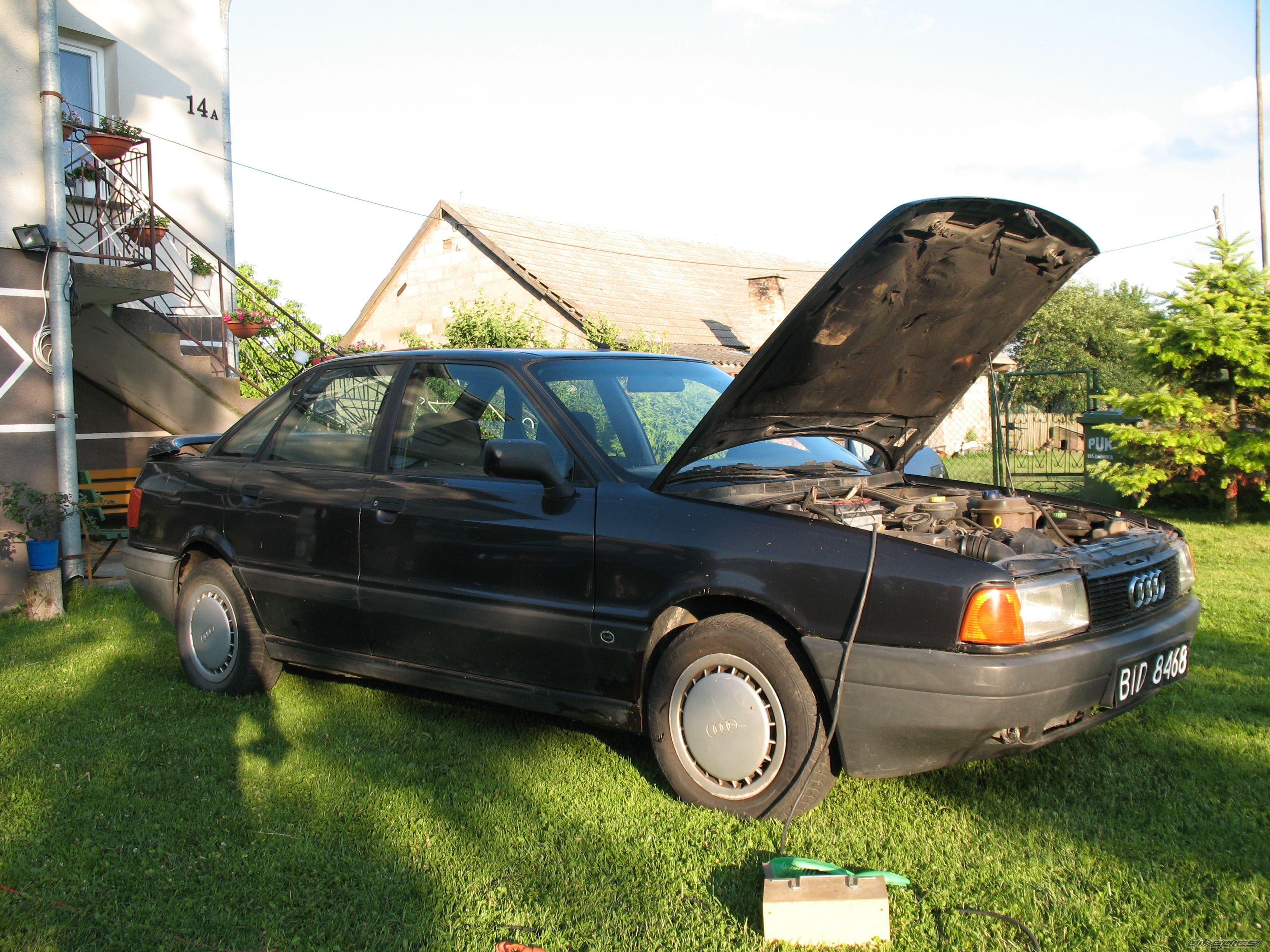 Photo 2572183