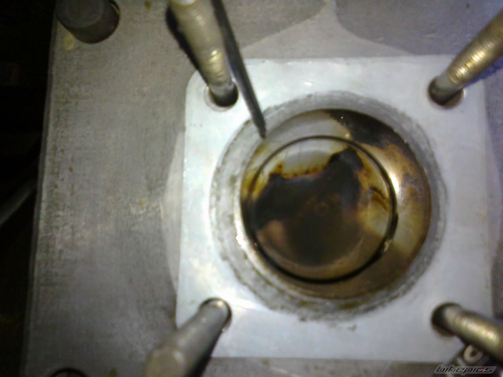Photo 2572231