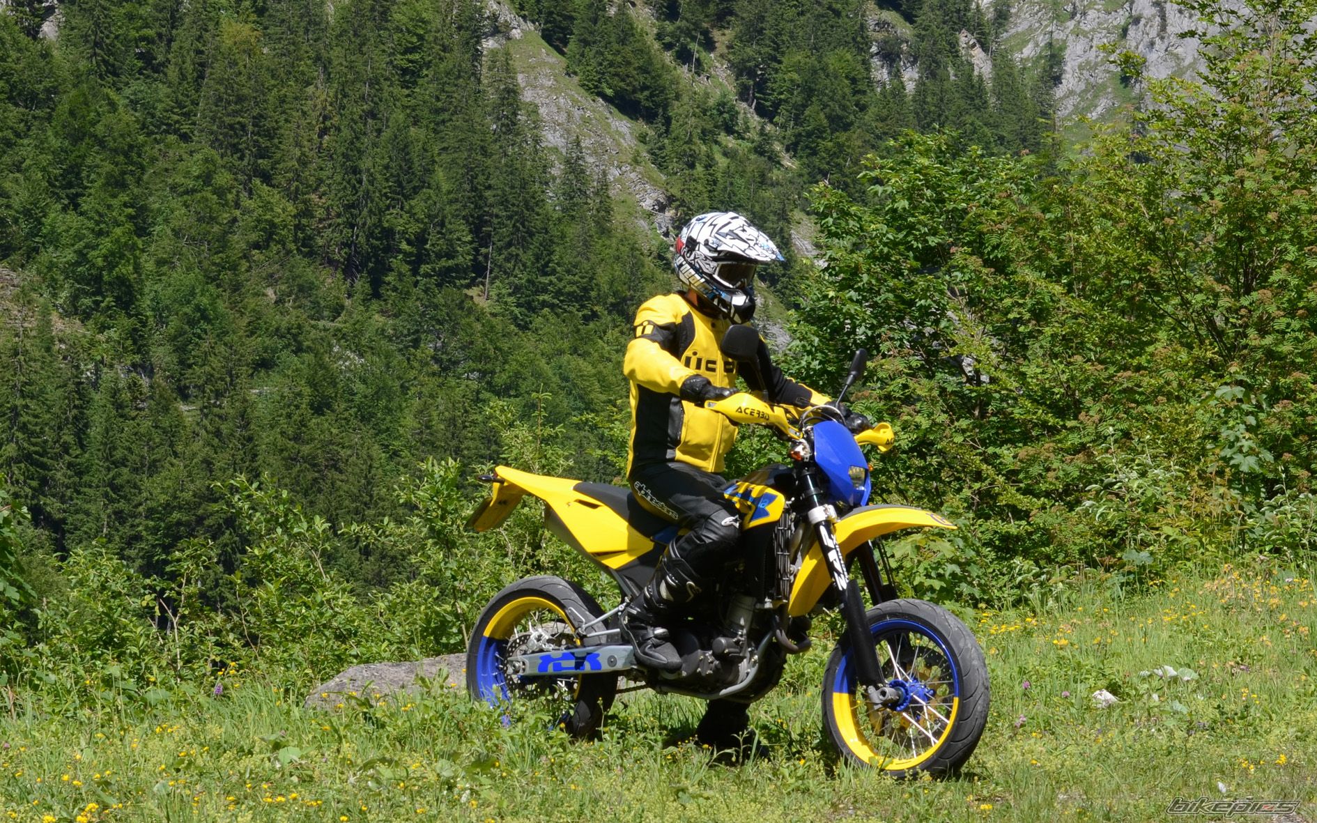 Photo 2572237