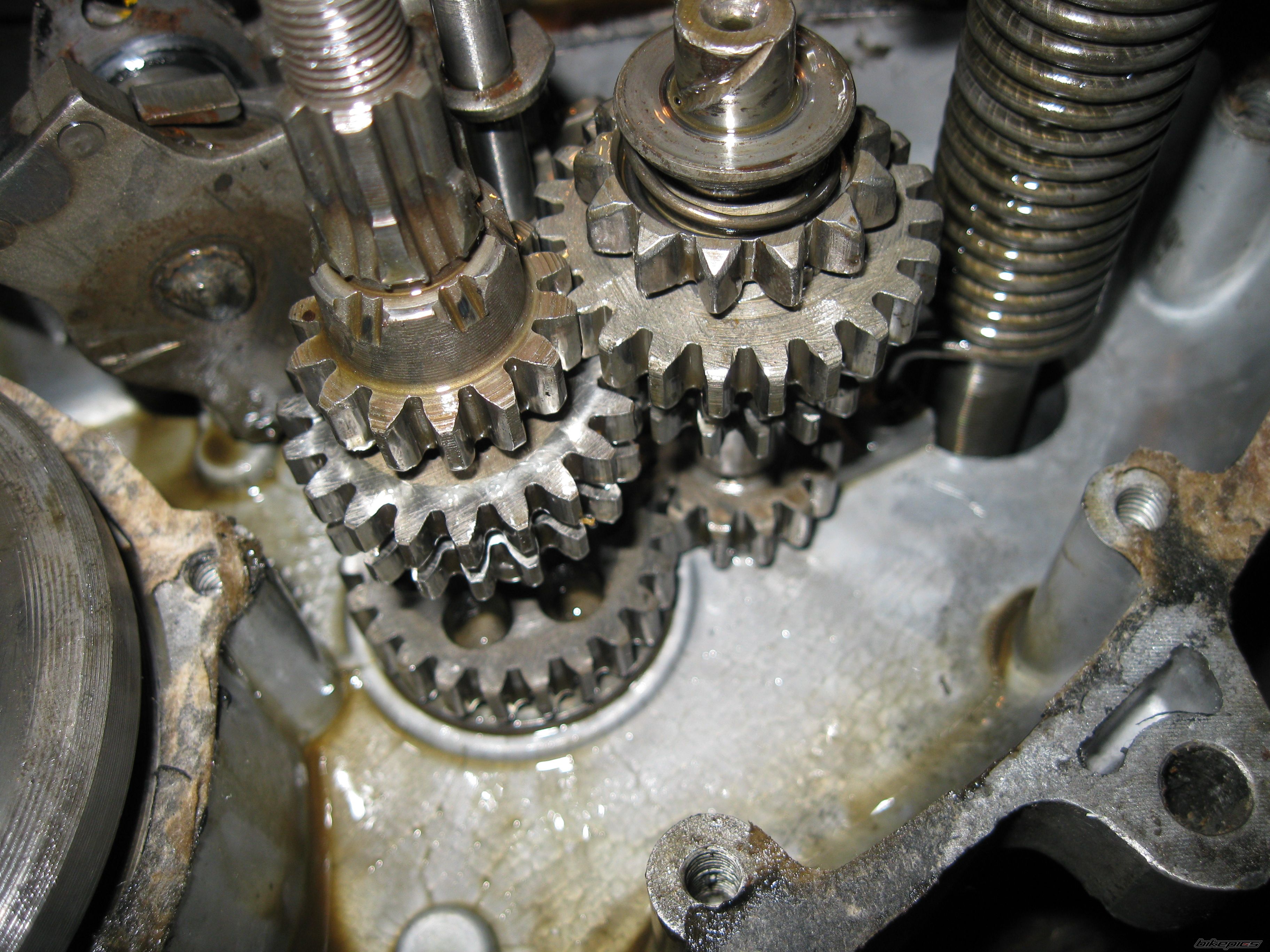Photo 2572246