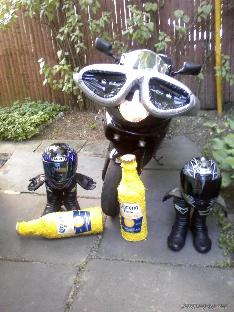 Photo 2572312
