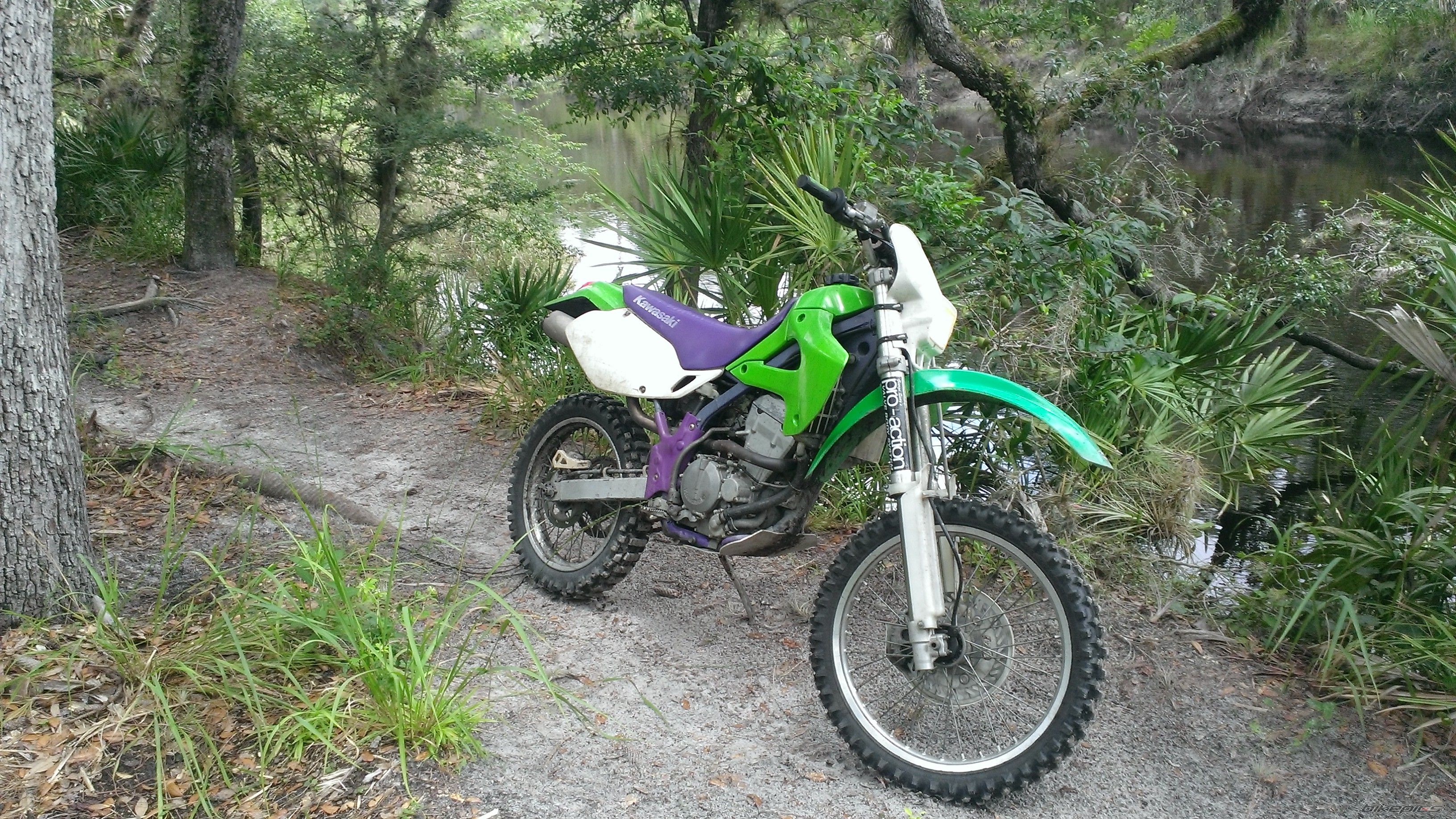 Photo 2572378