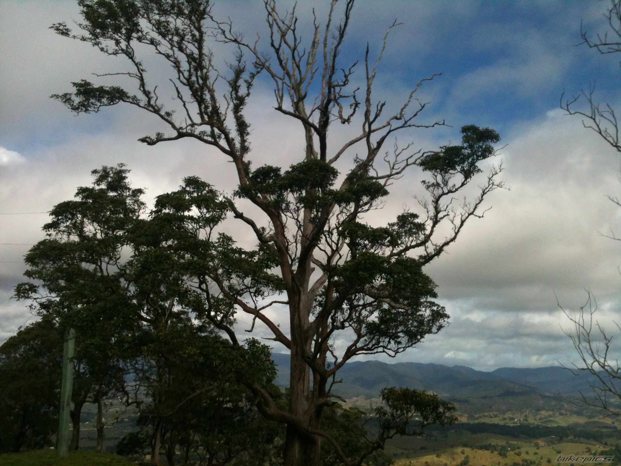 Photo 2572408