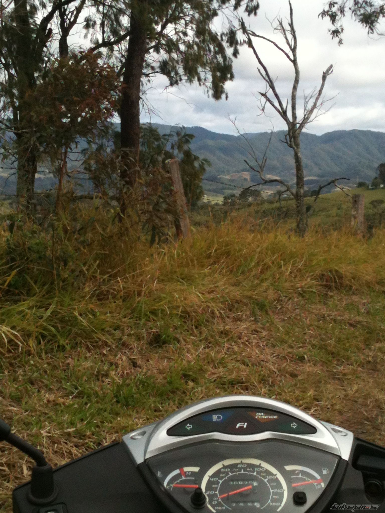 Photo 2572417