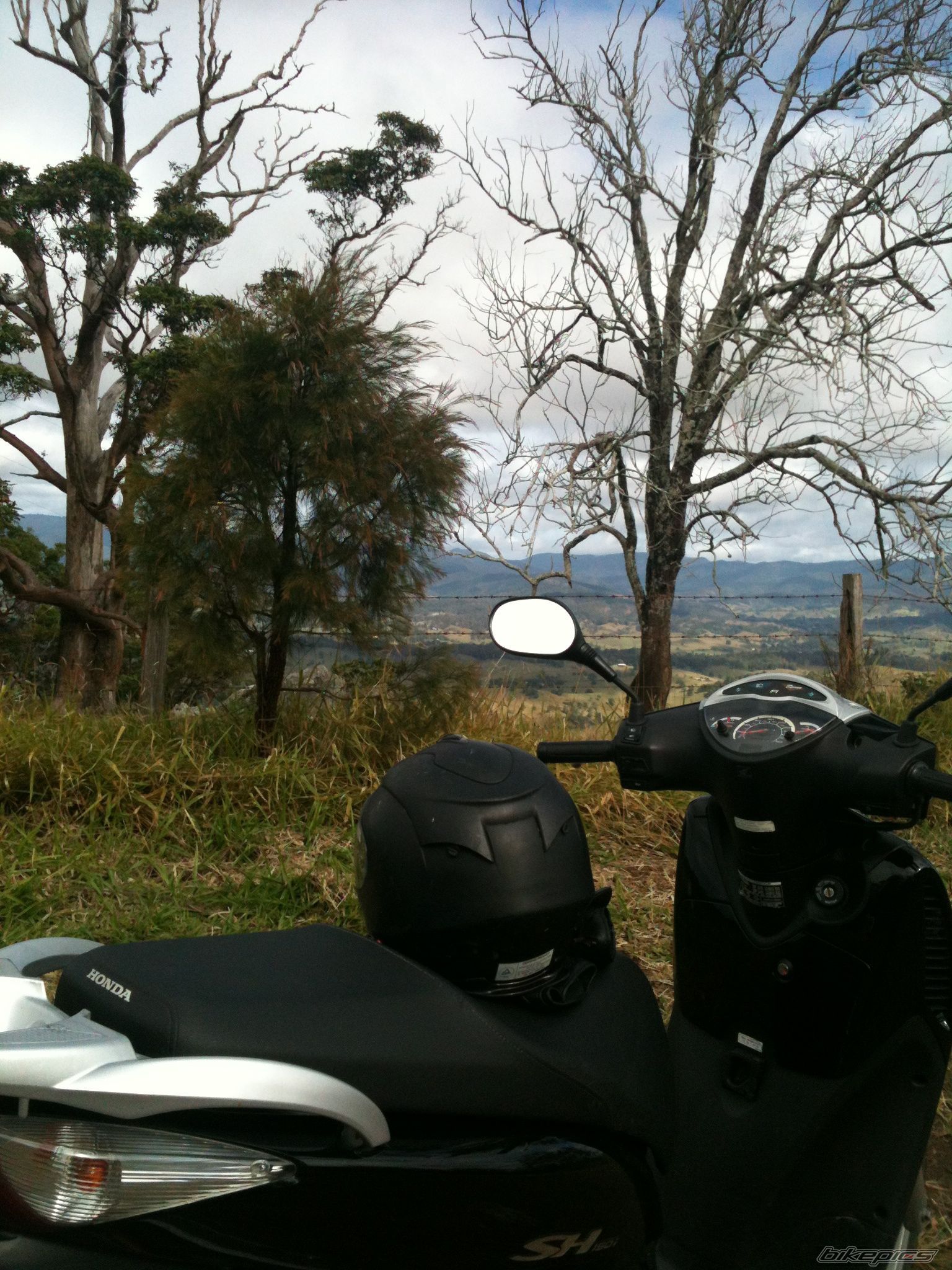 Photo 2572420
