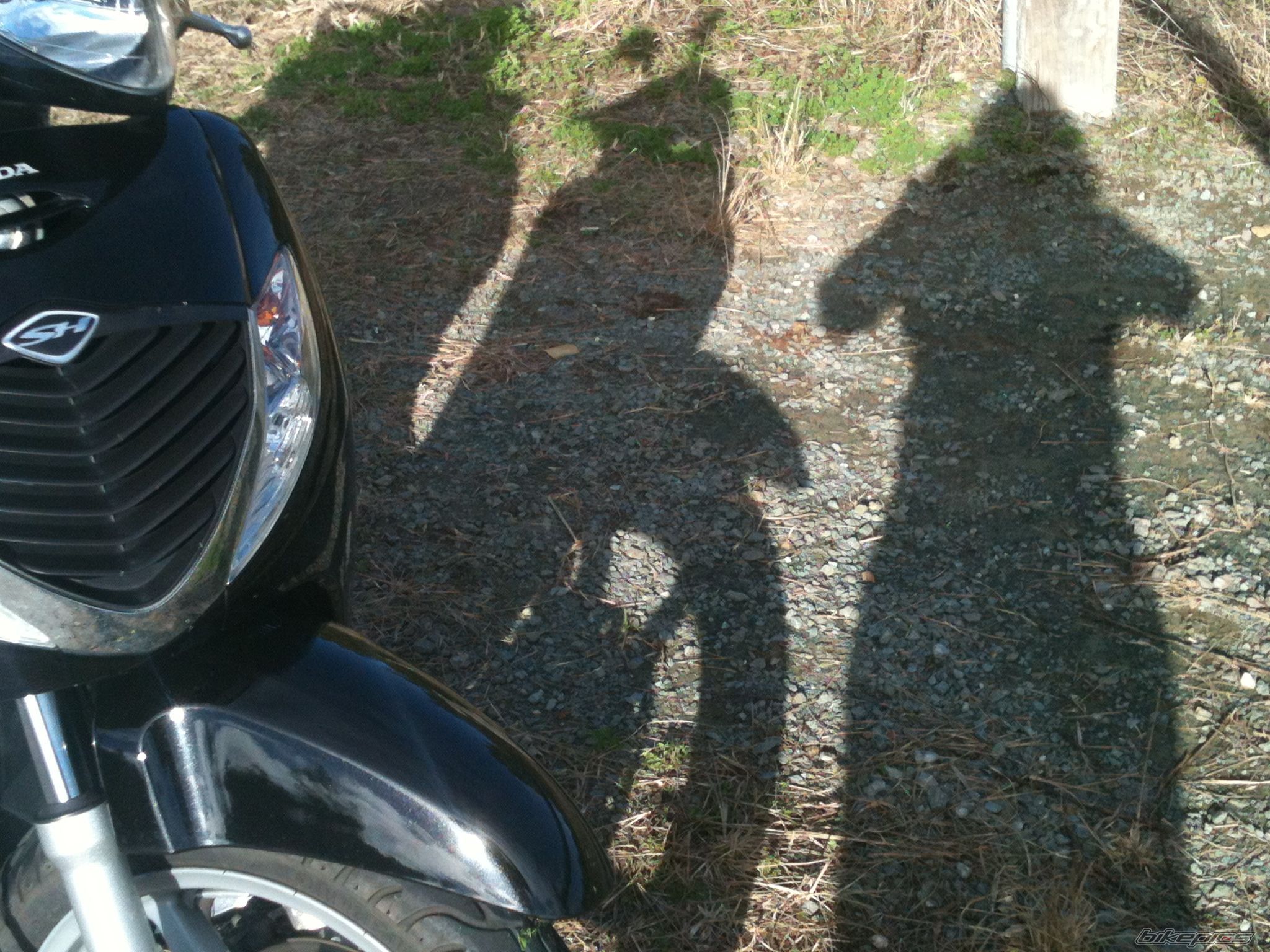 Photo 2572448