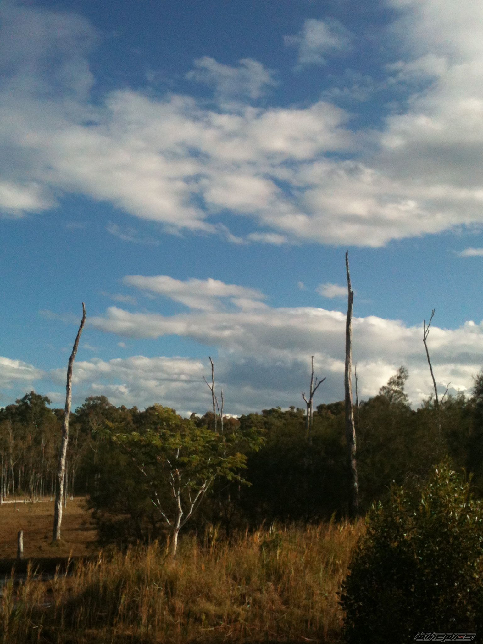 Photo 2572456