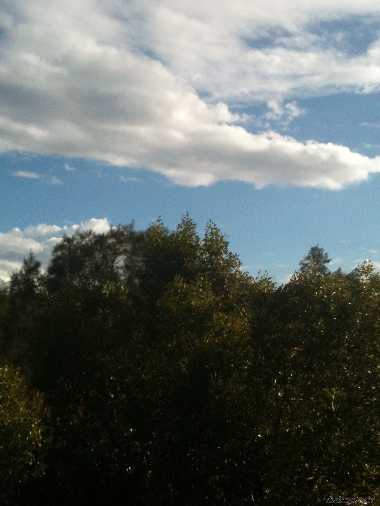 Photo 2572458