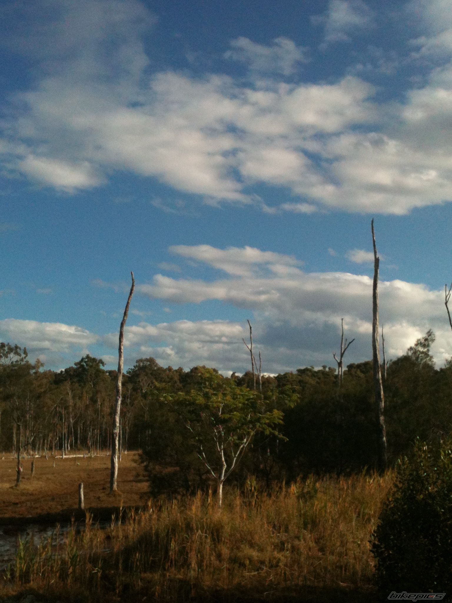 Photo 2572459