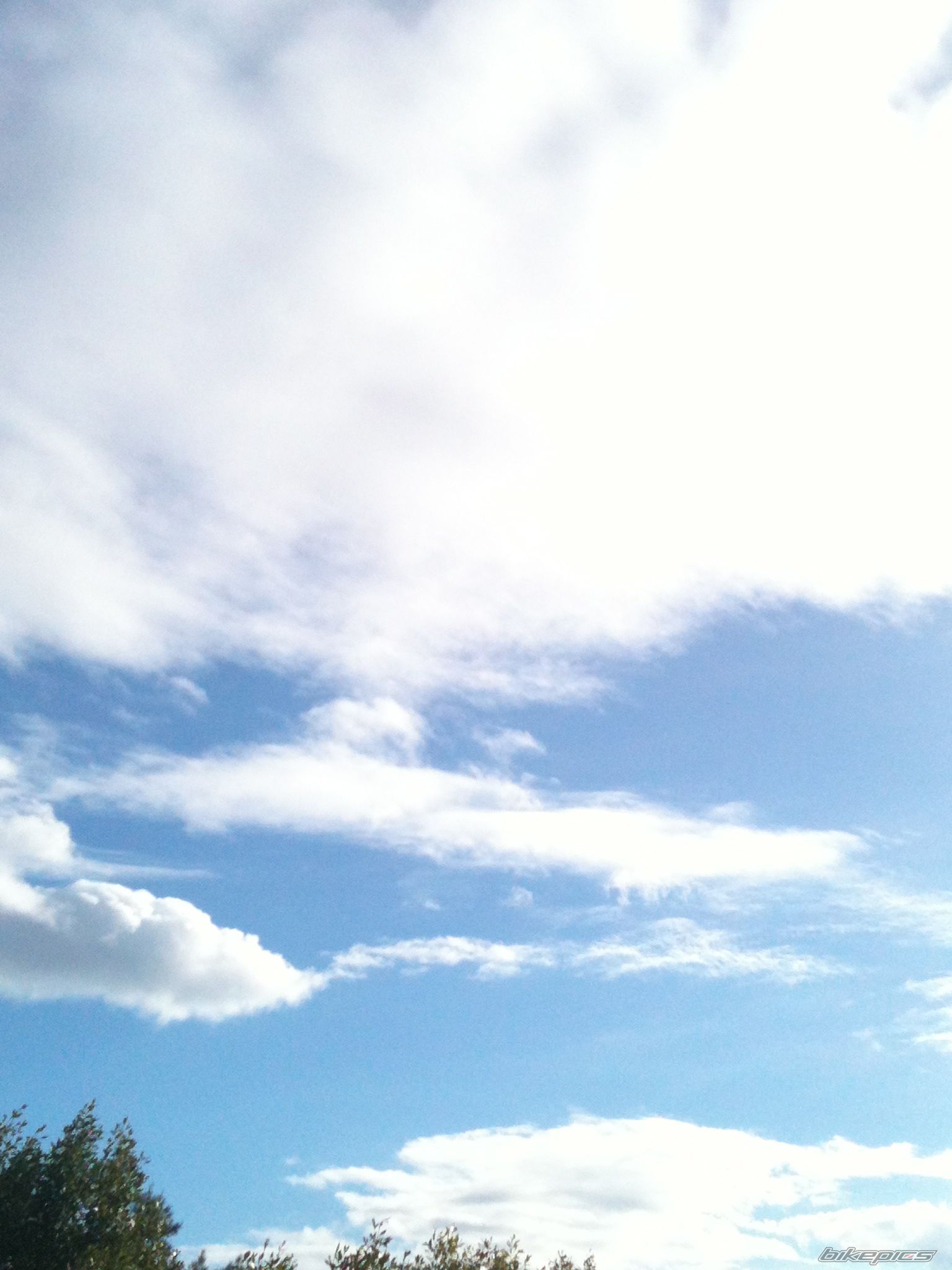 Photo 2572461