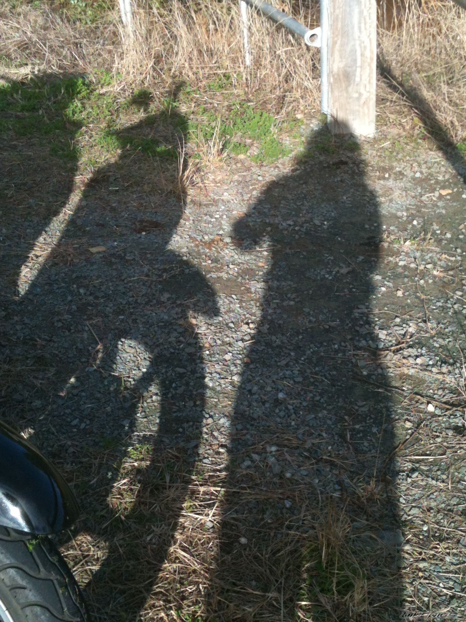 Photo 2572463