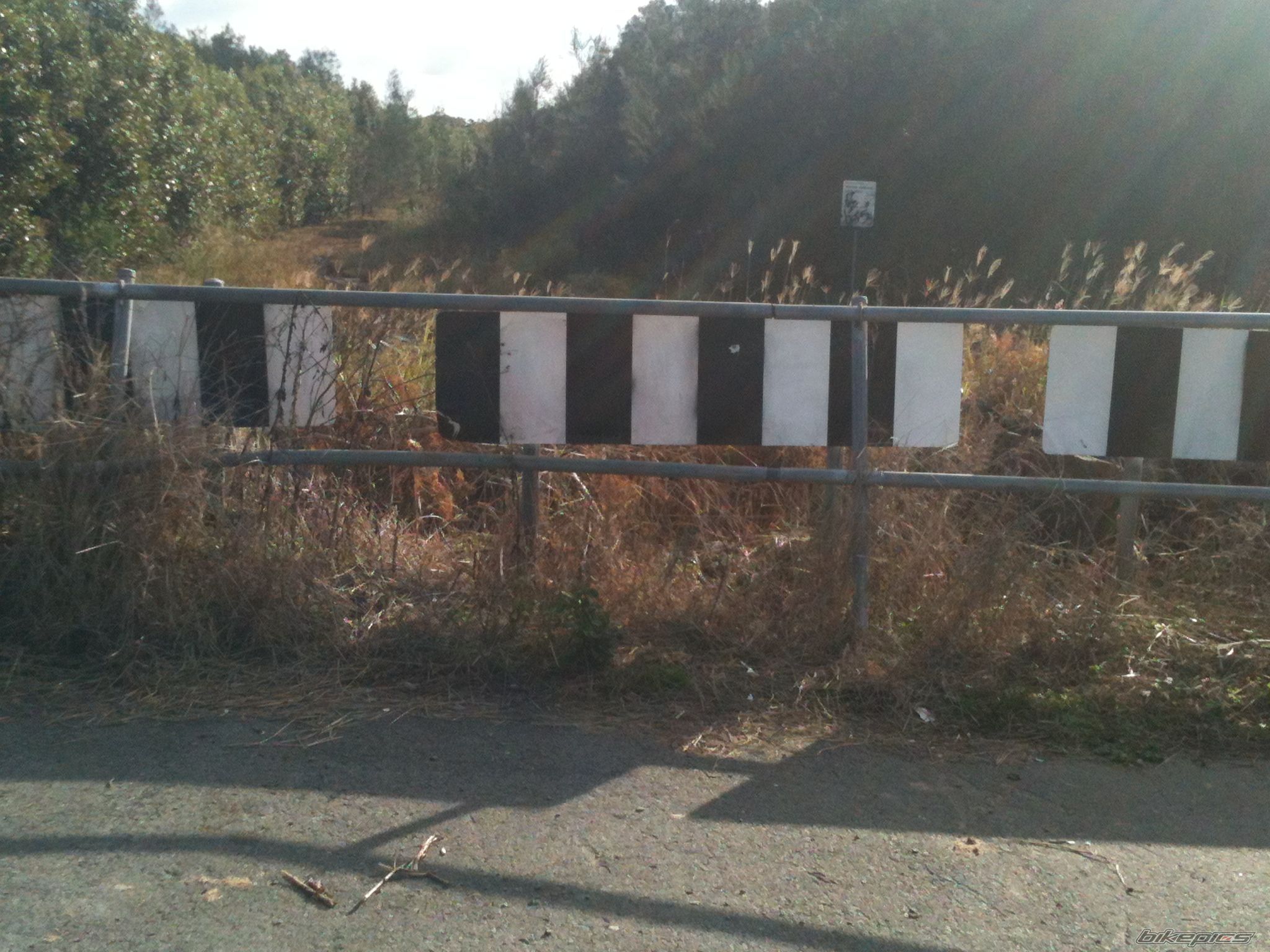 Photo 2572465