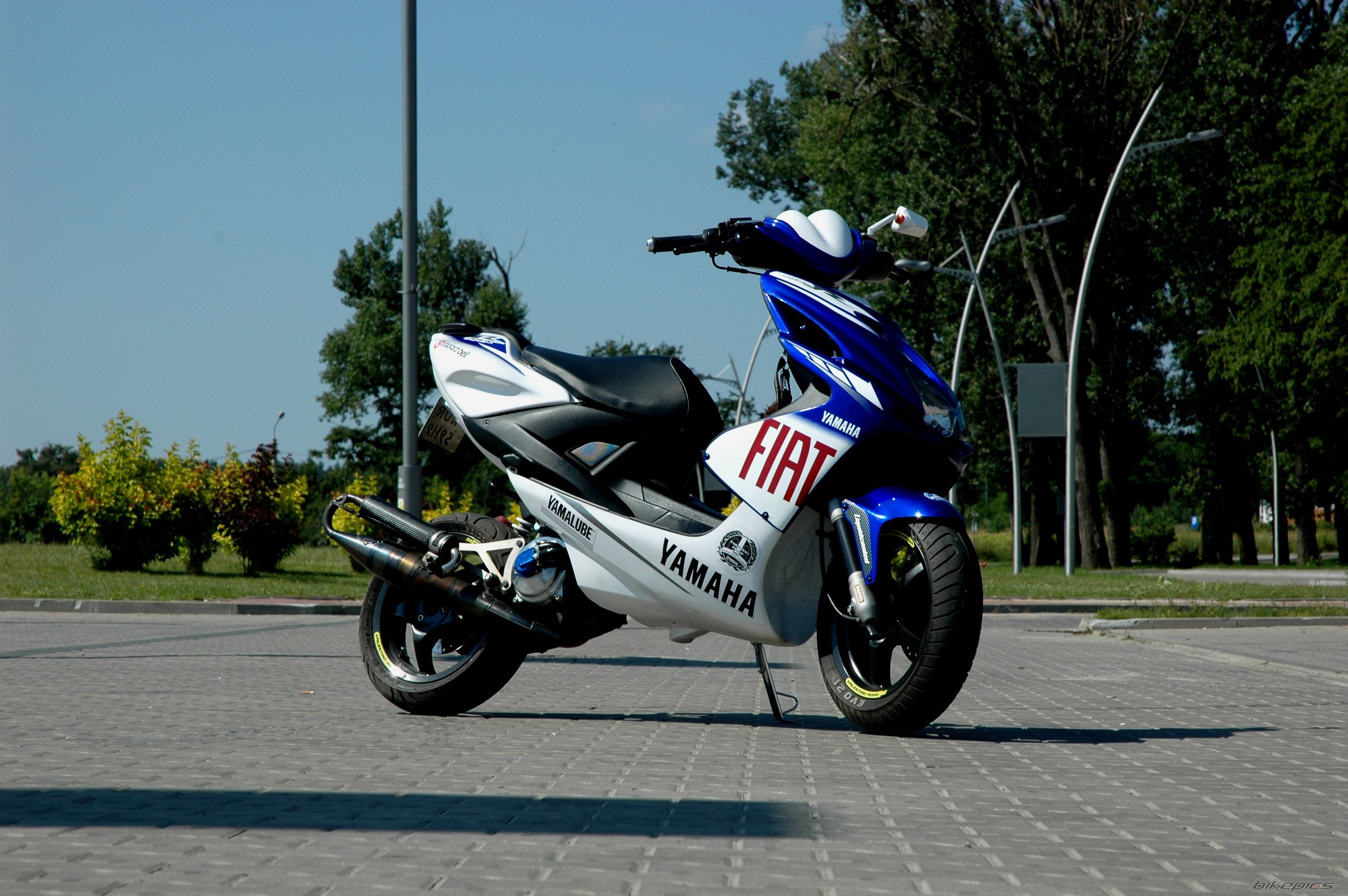 Photo 2572469