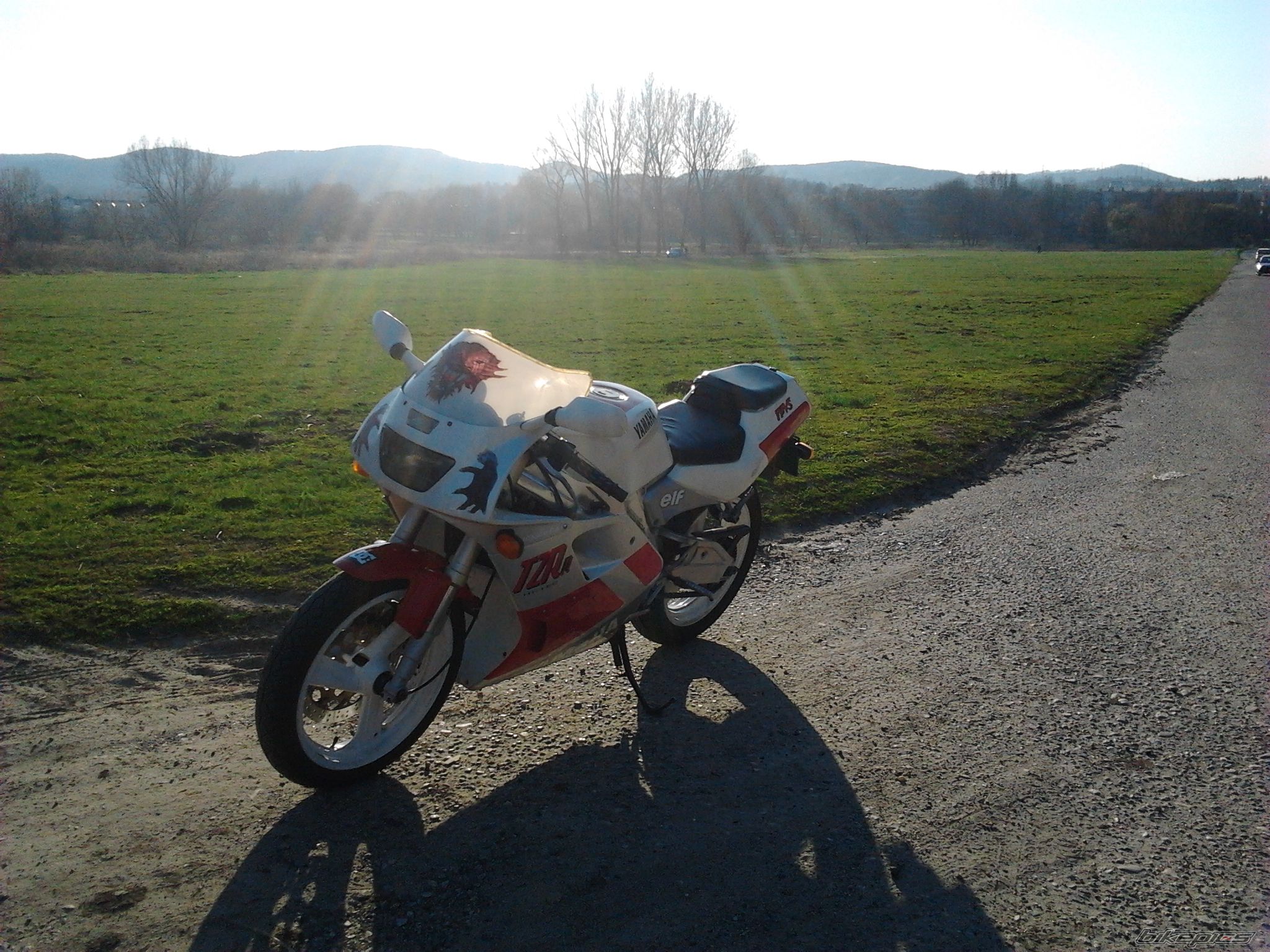 Photo 2572473
