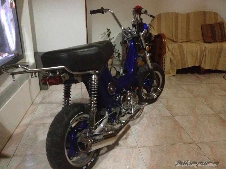 Photo 2572474