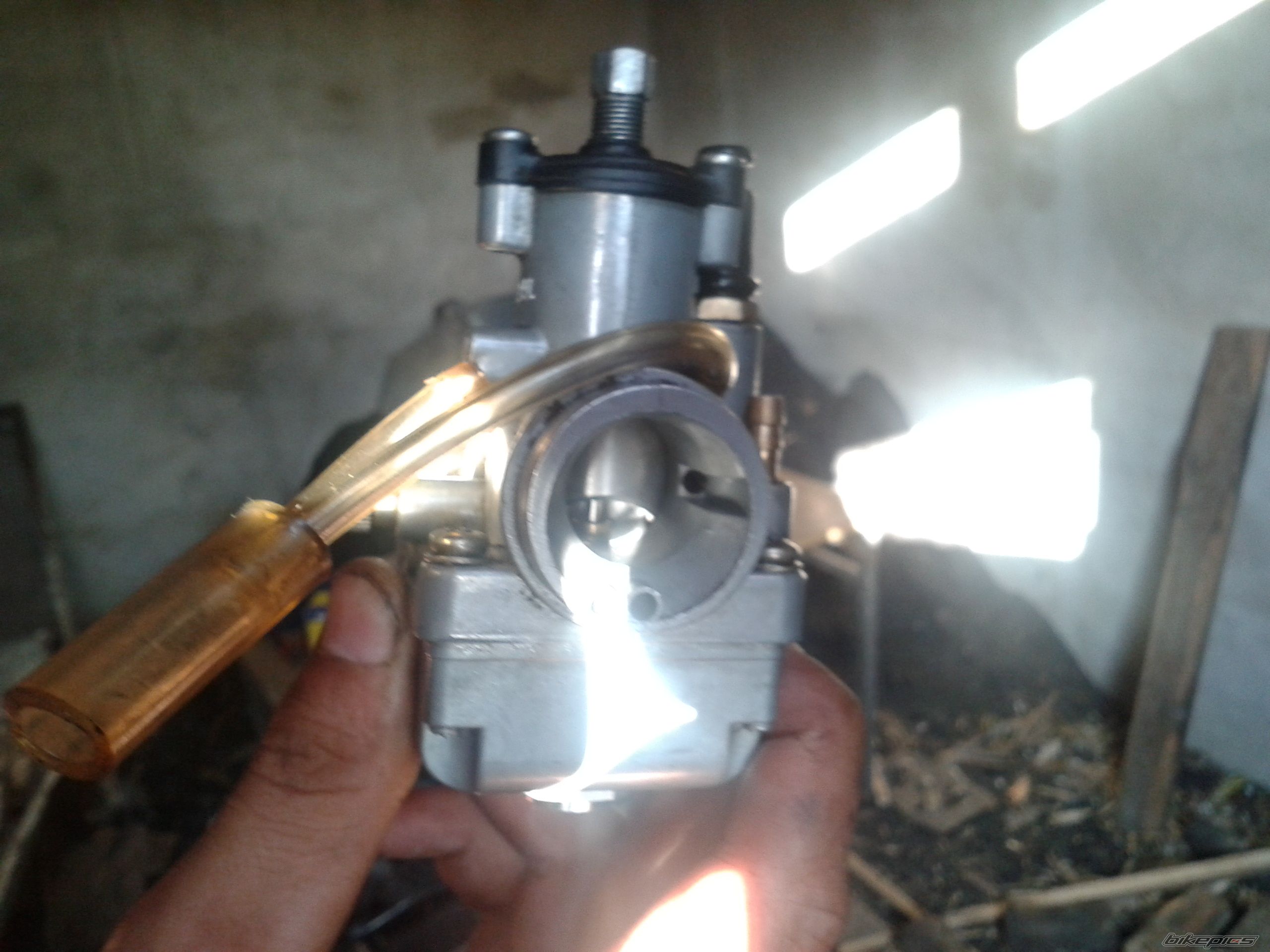 Photo 2572599