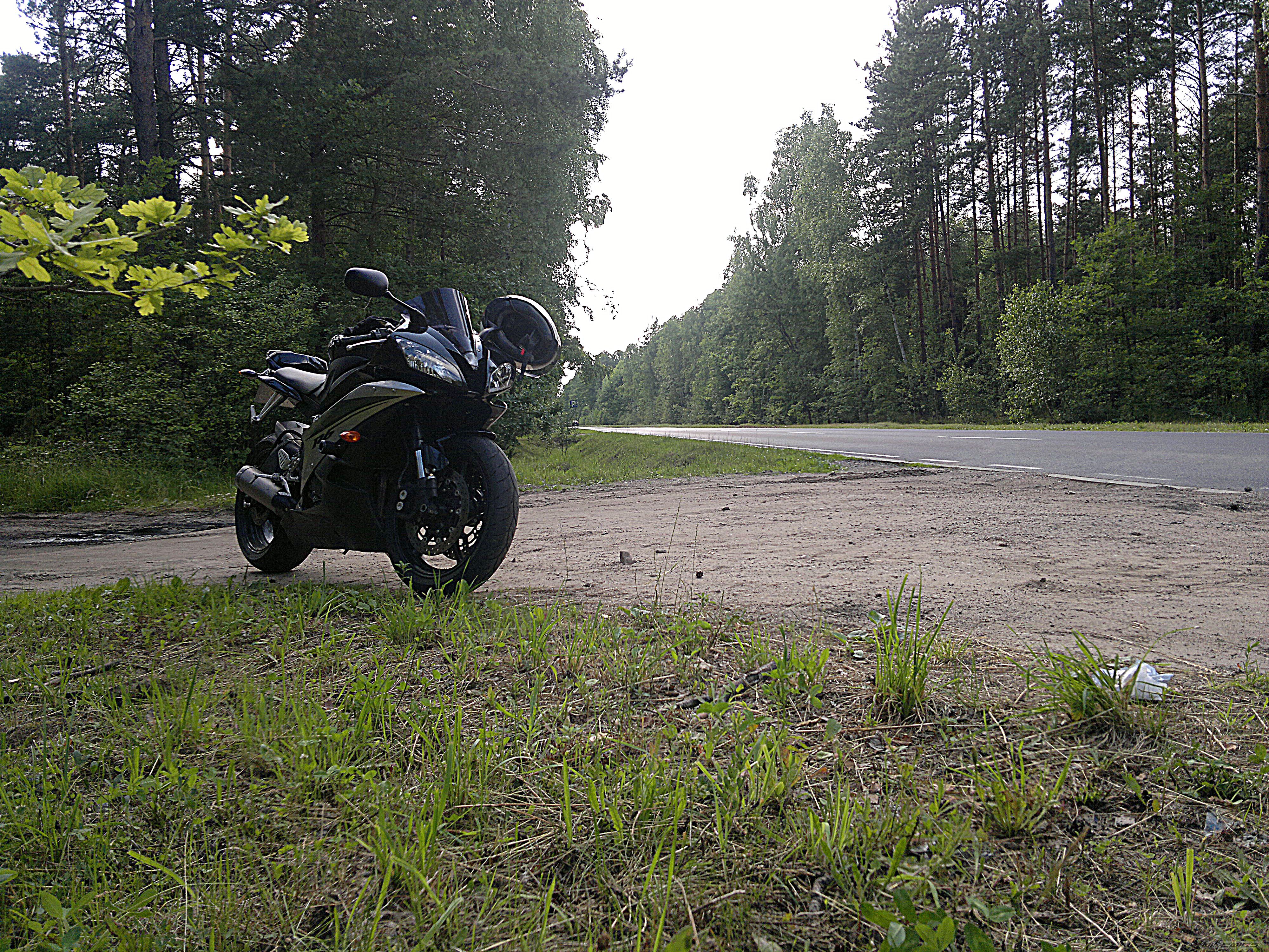 Photo 2572603