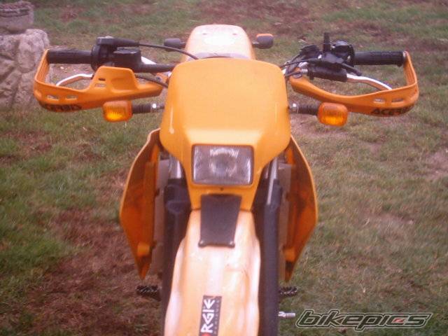 Photo 257269