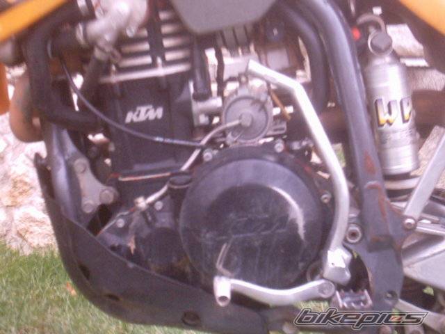 Photo 257270