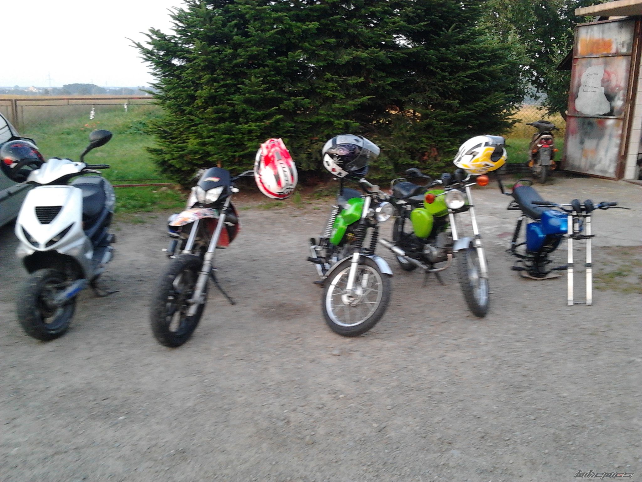 Photo 2572729