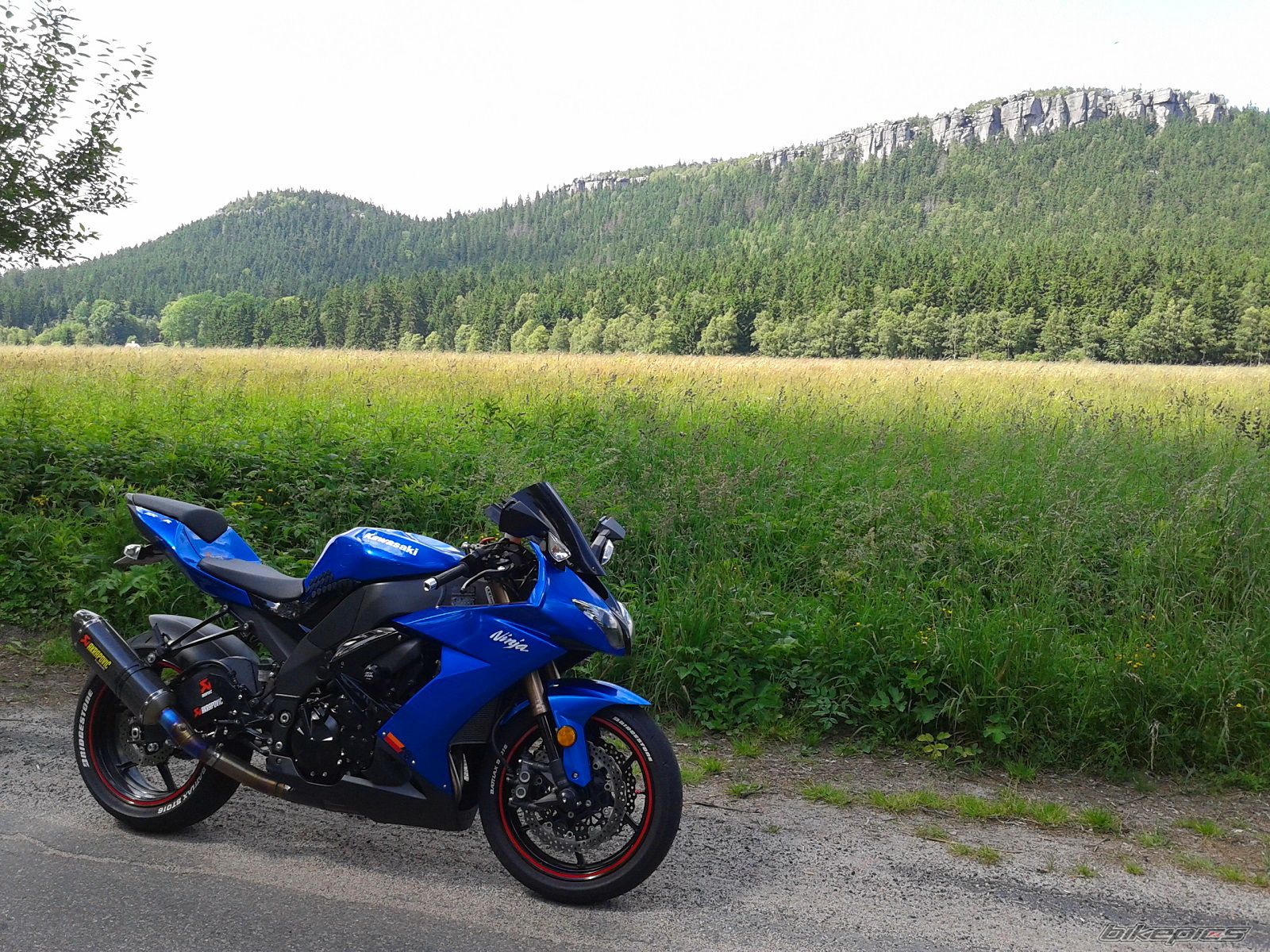 Photo 2572760