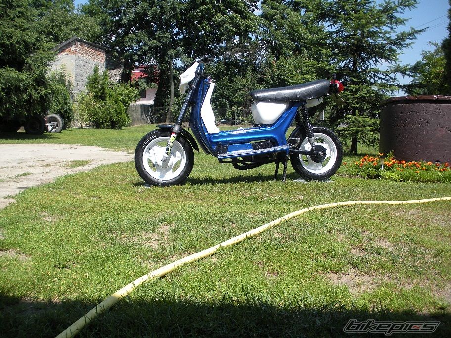 Photo 2572776
