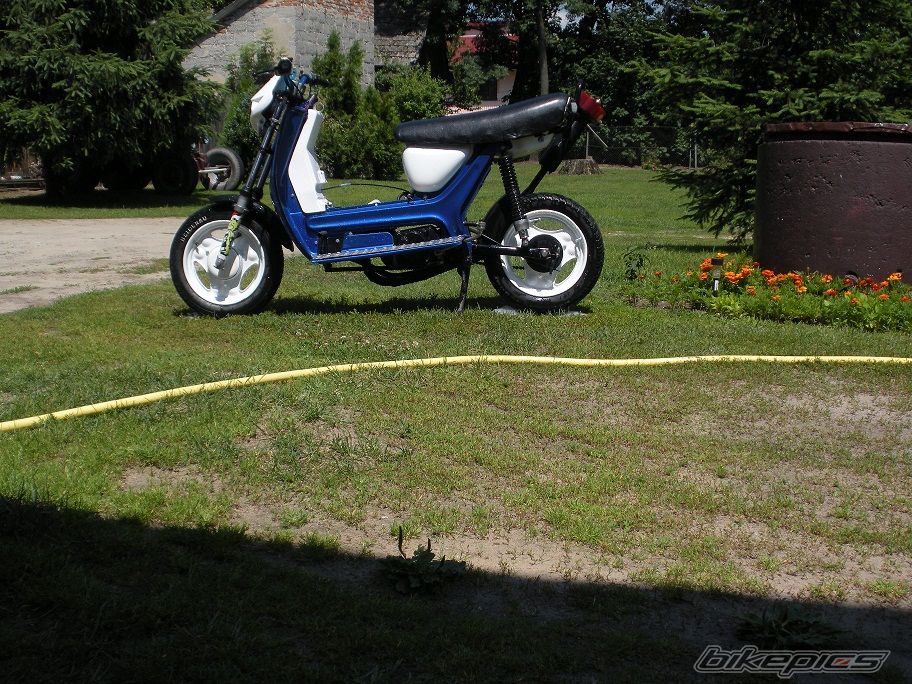Photo 2572778