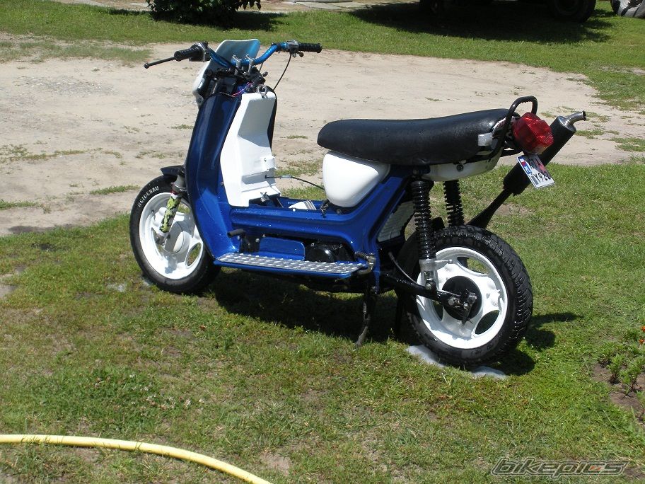 Photo 2572779