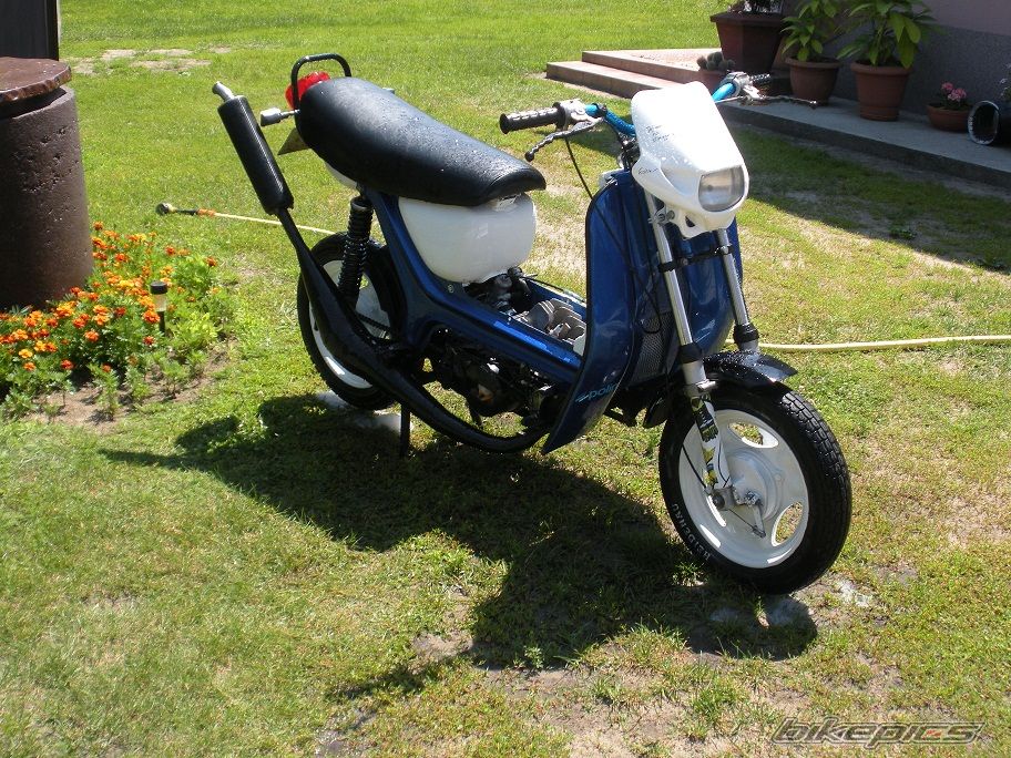 Photo 2572781