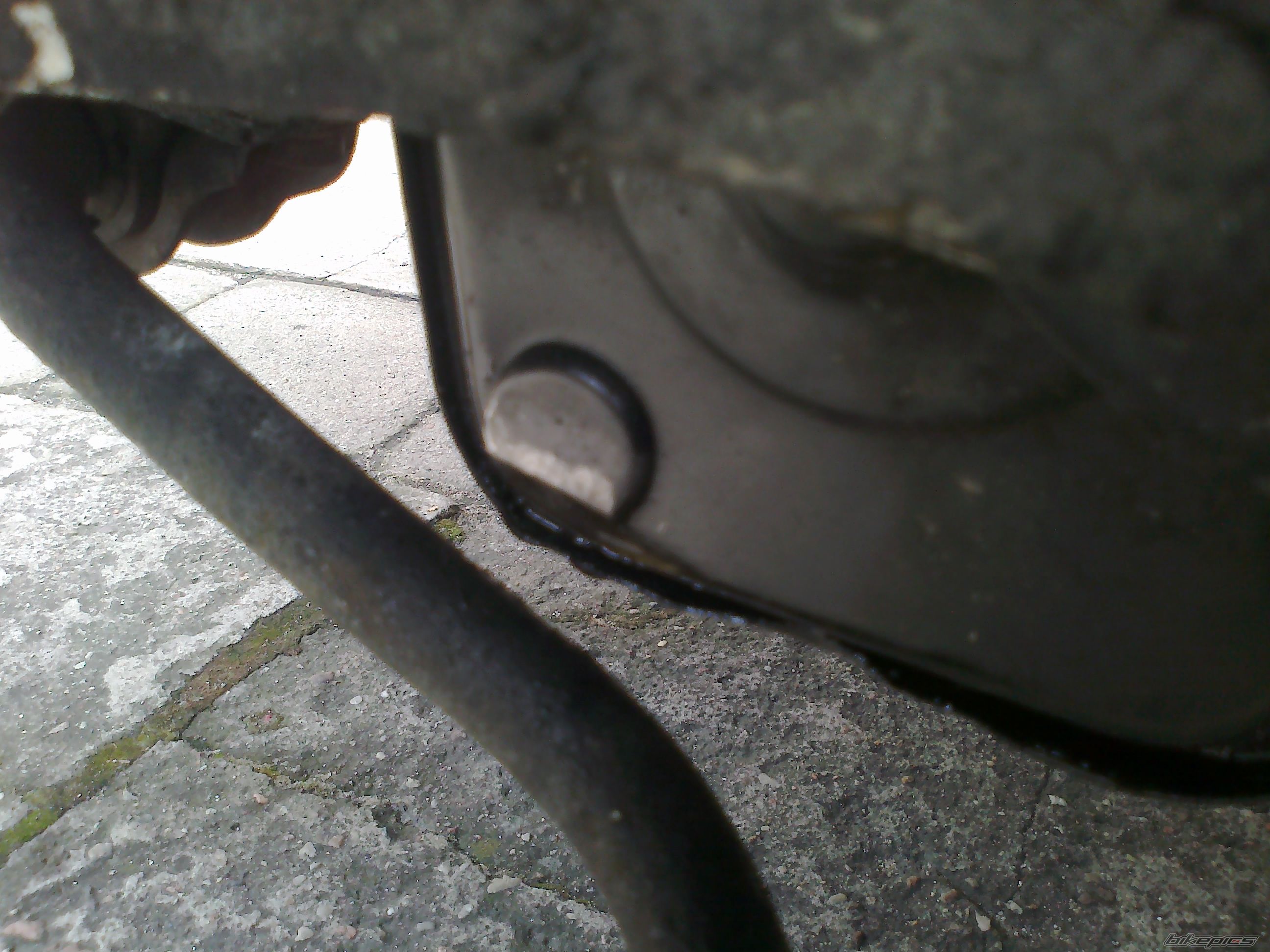 Photo 2572812