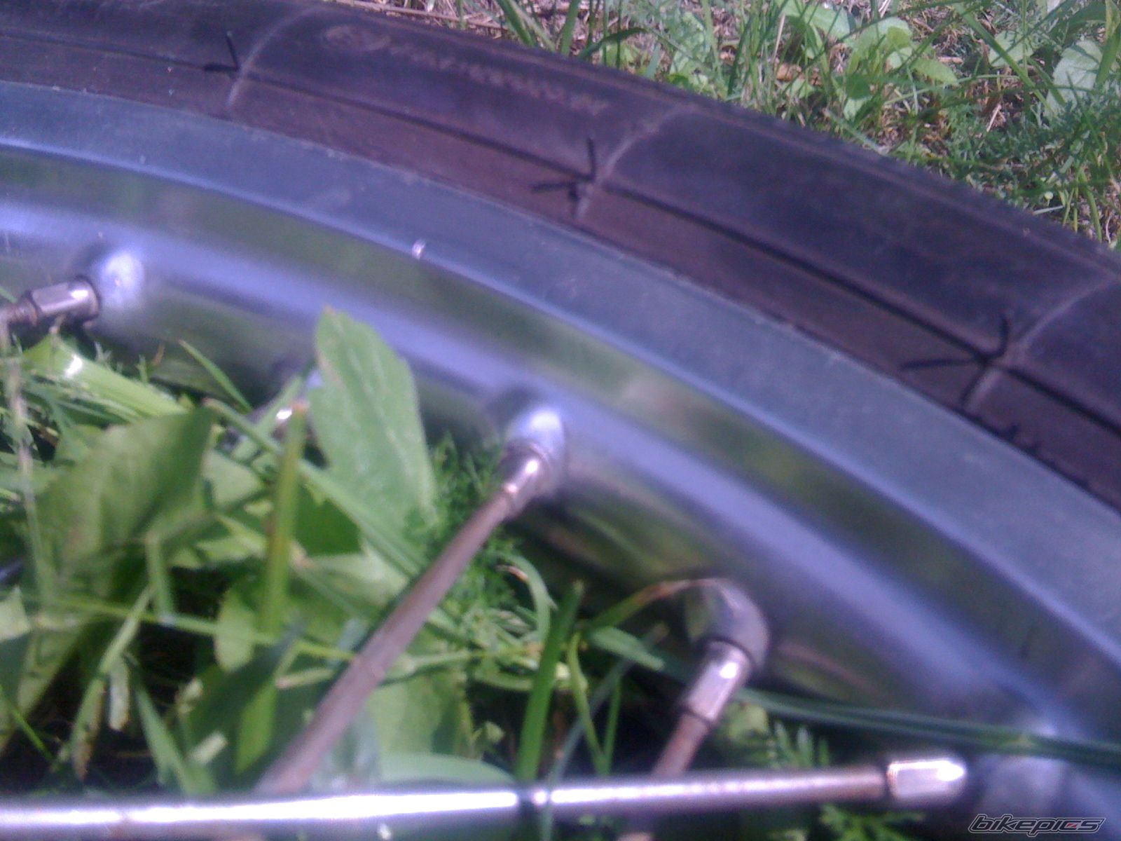 Photo 2572842