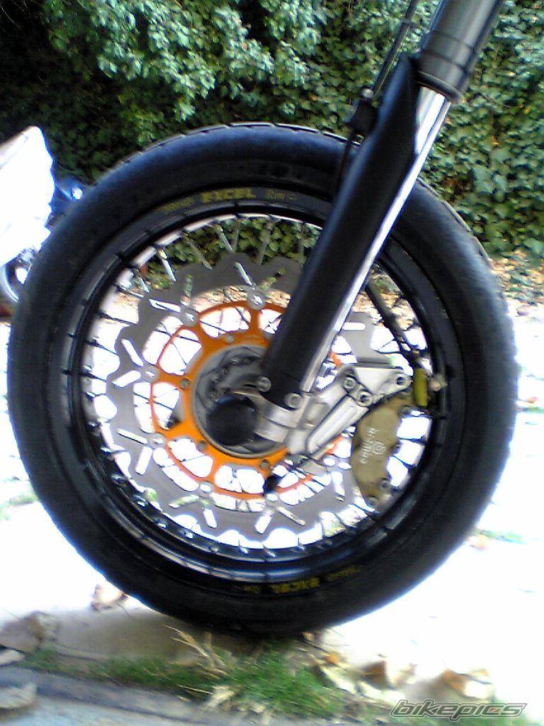 Photo 257298