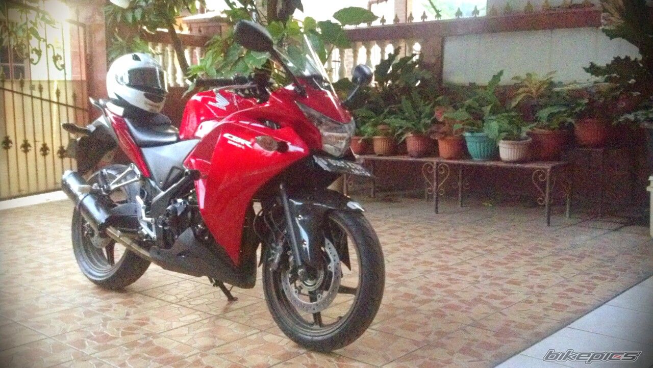Photo 2573031