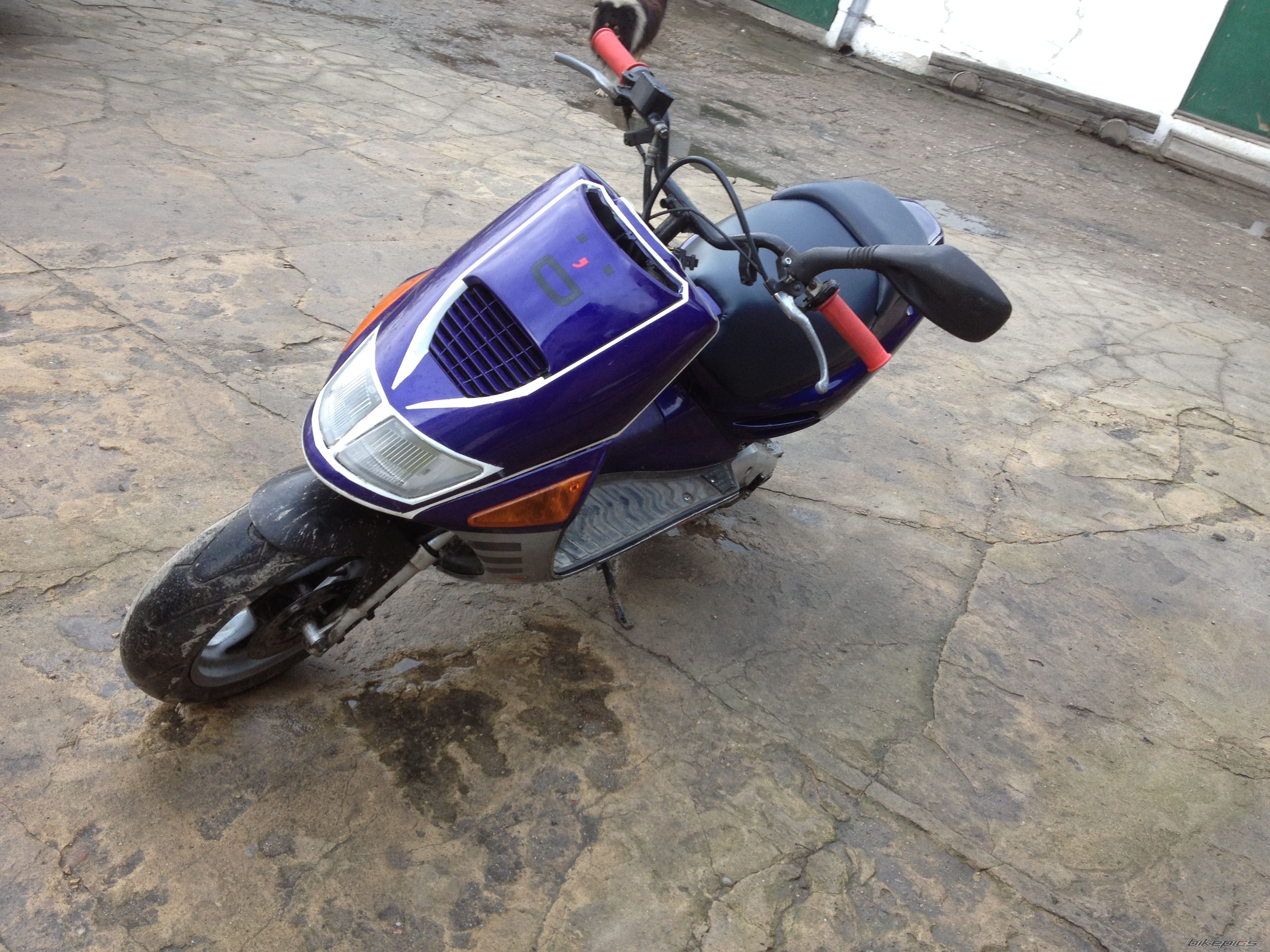 Photo 2573037