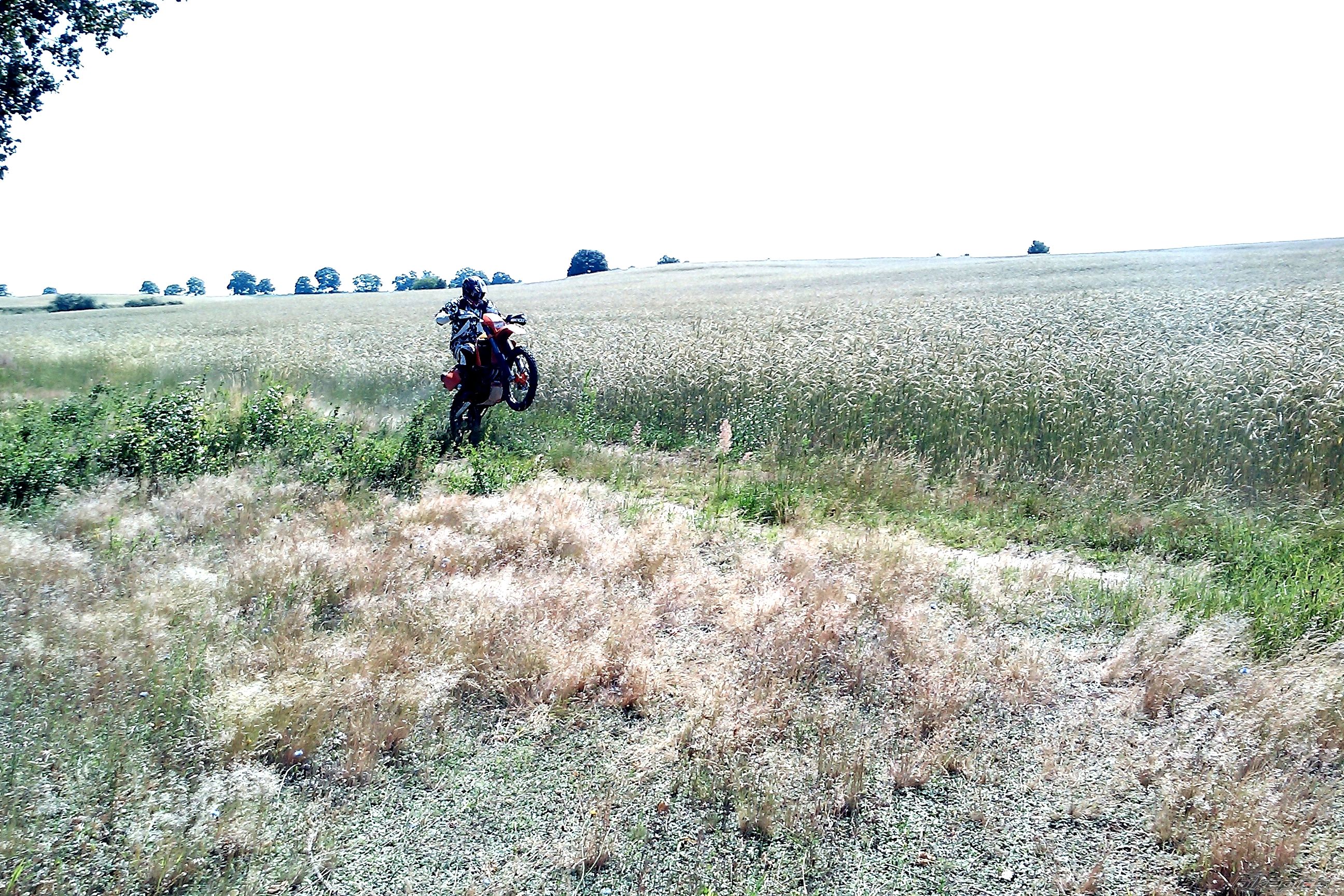 Photo 2573042