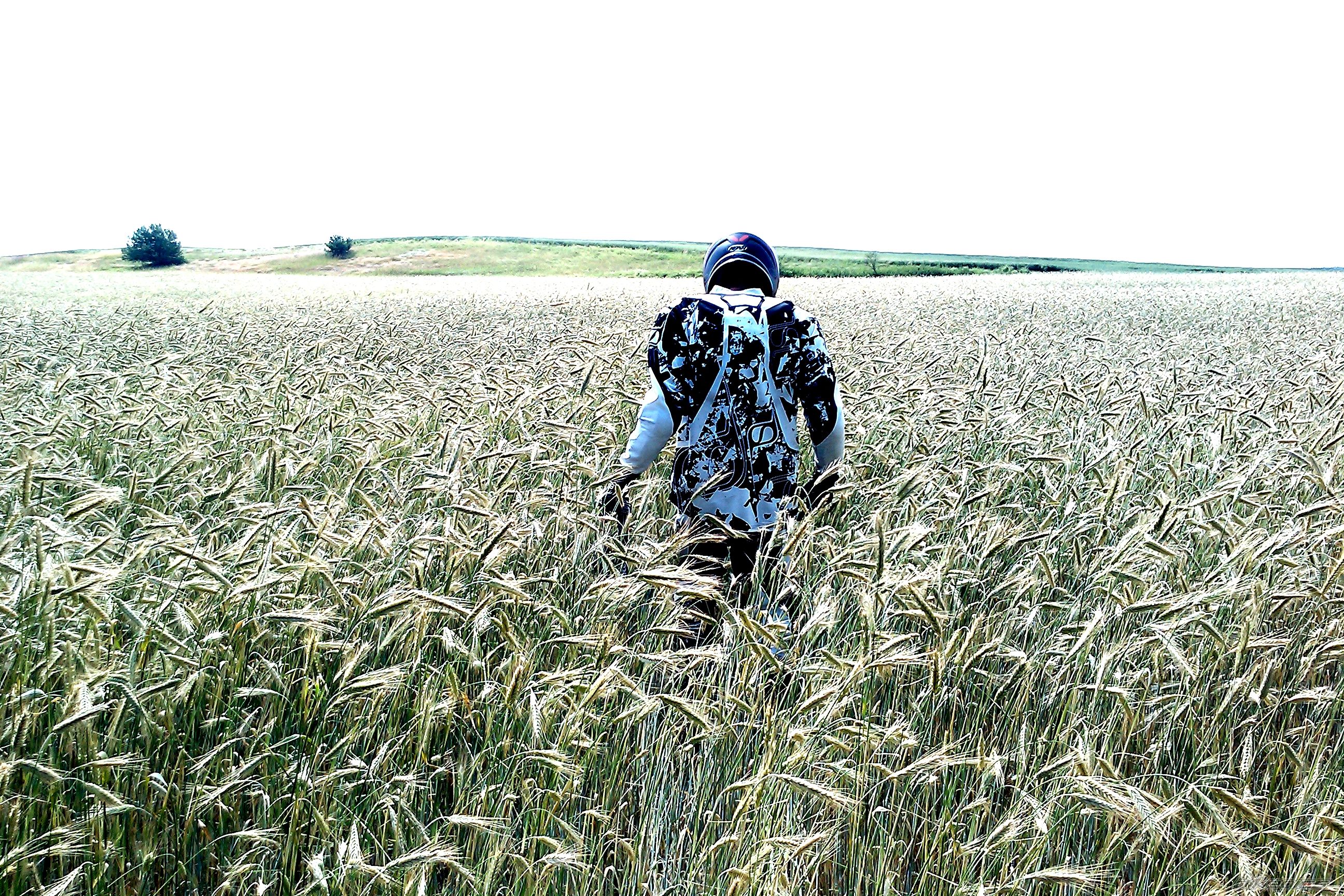 Photo 2573047