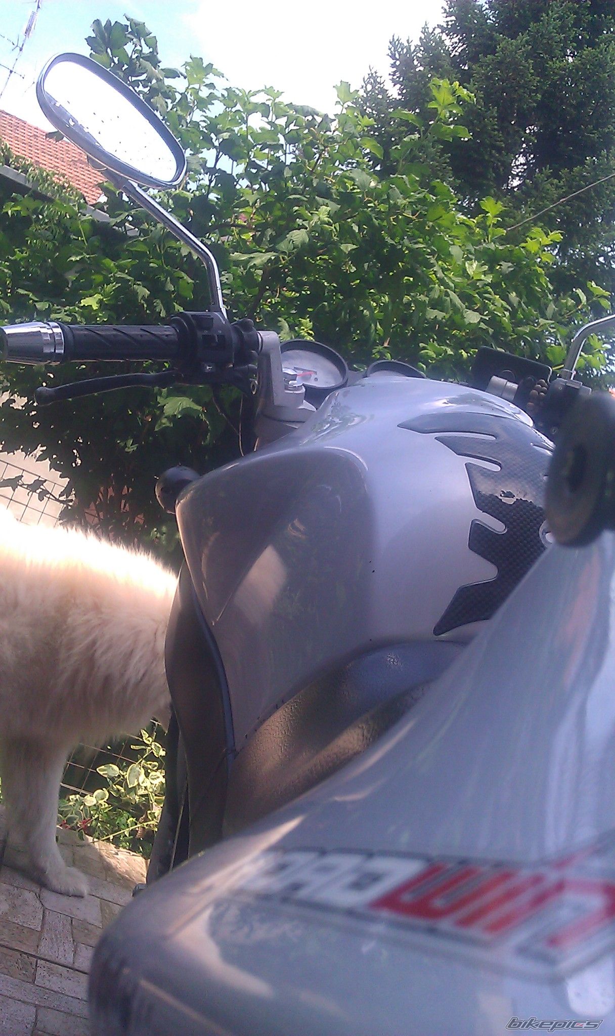 Photo 2573109