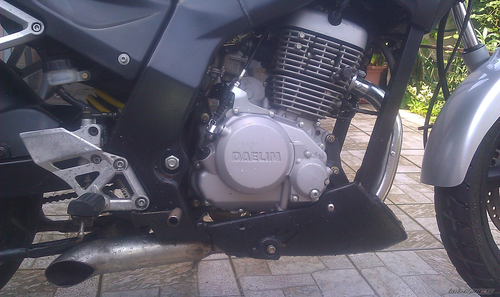 Photo 2573111