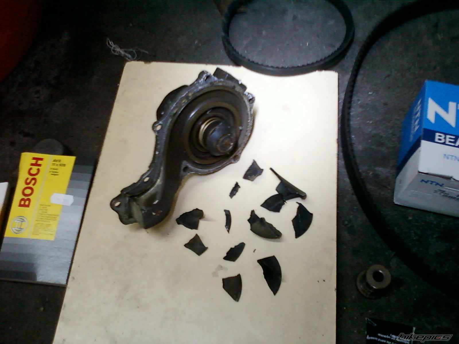 Photo 2573138