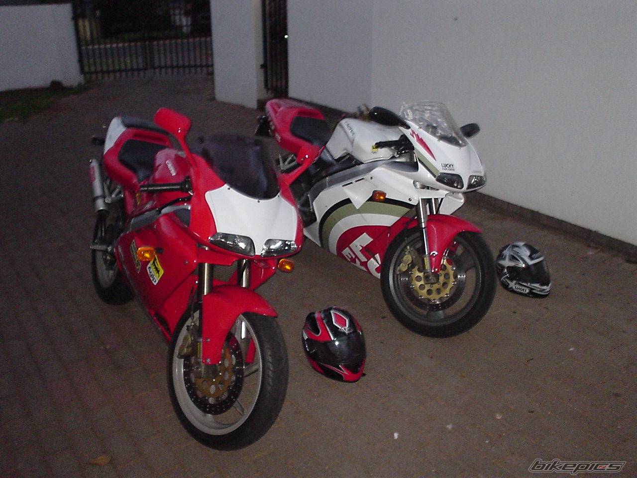 Photo 257325