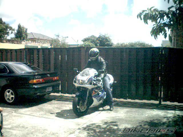 Photo 25733